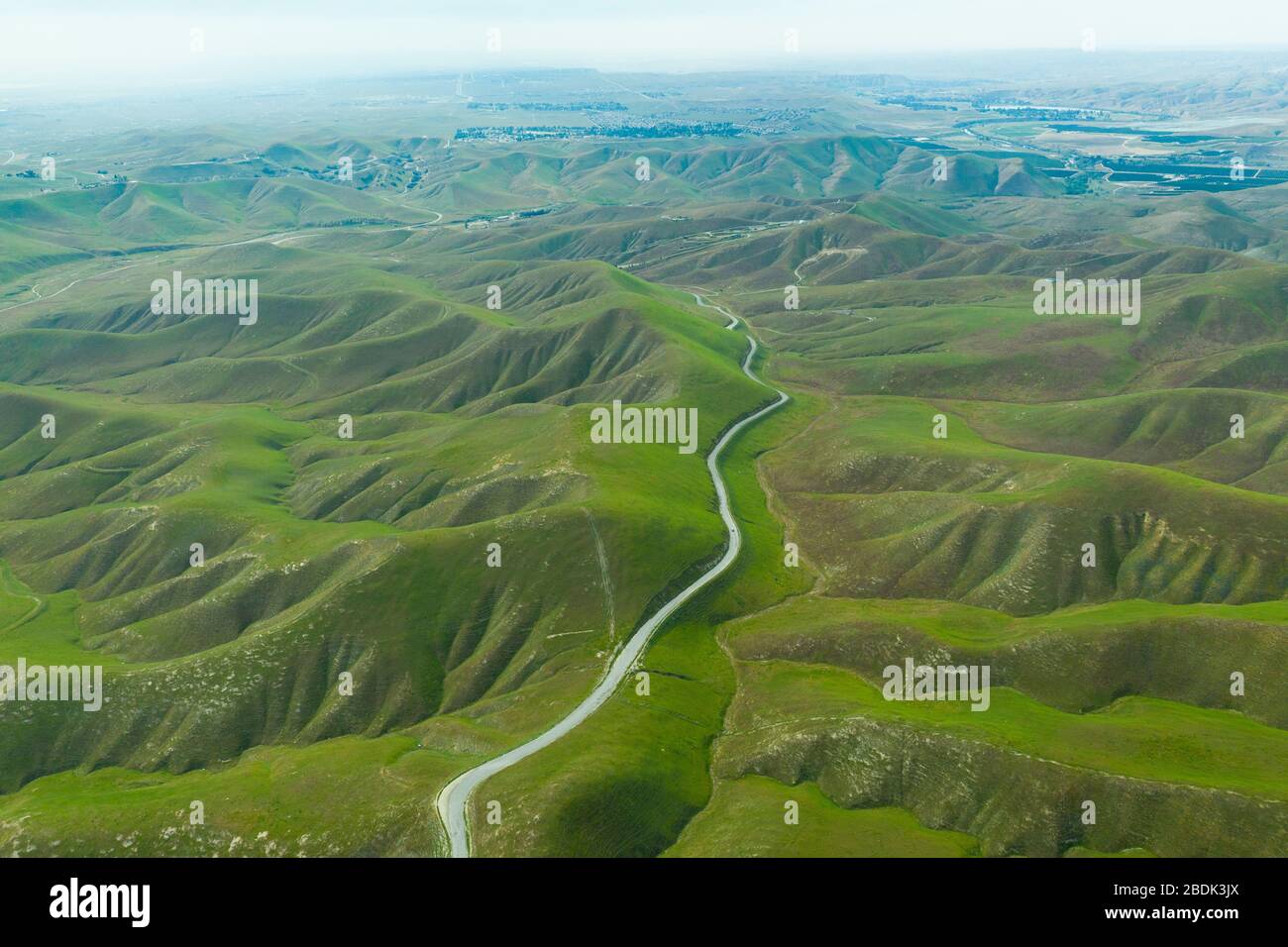 Green Rolling Hills idilliaco scenario in California dopo Heavy Spri Foto Stock