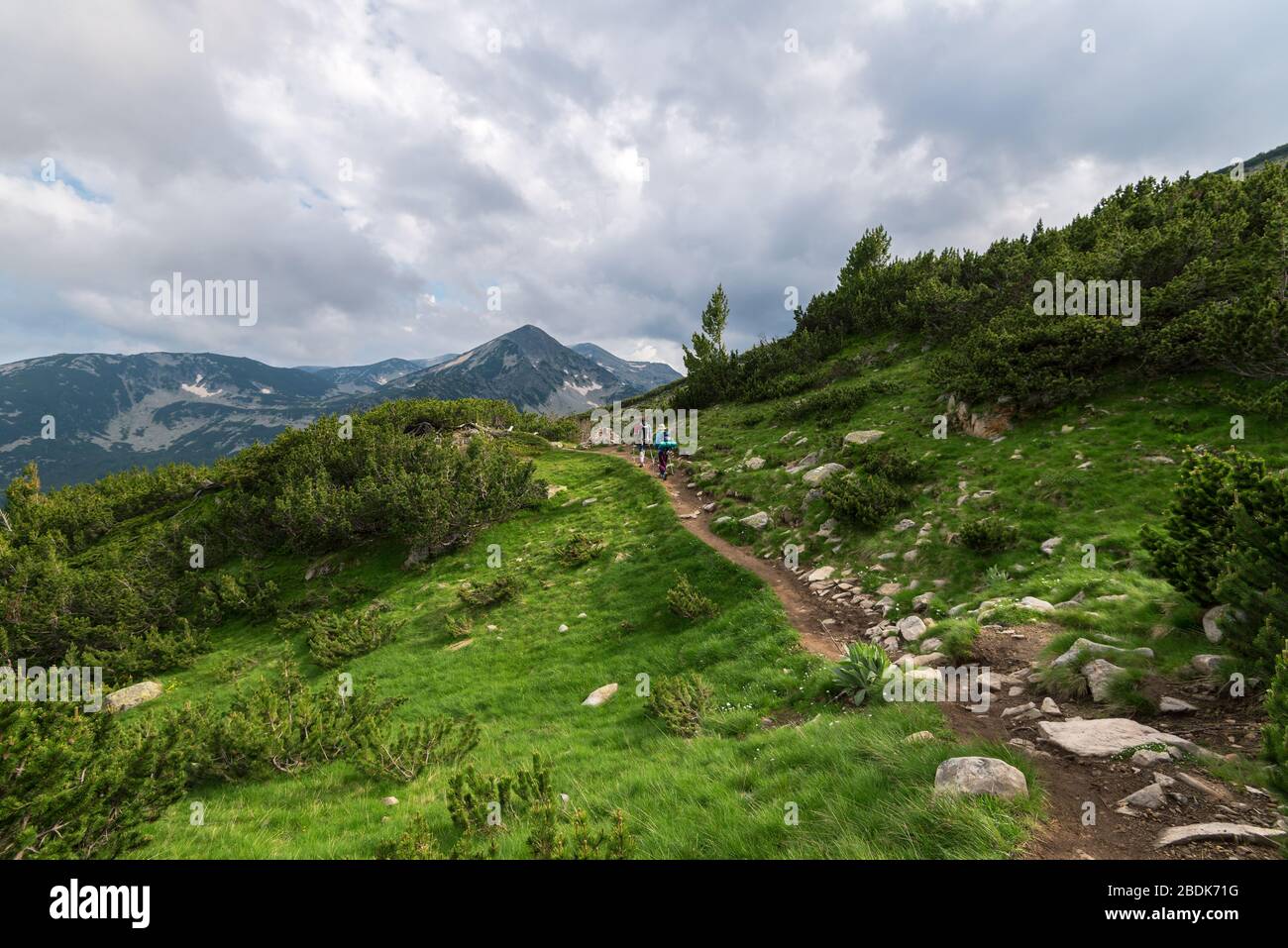 I turisti sono a piedi con le apparecchiature in bulgaro montagna in estate. Foto Stock