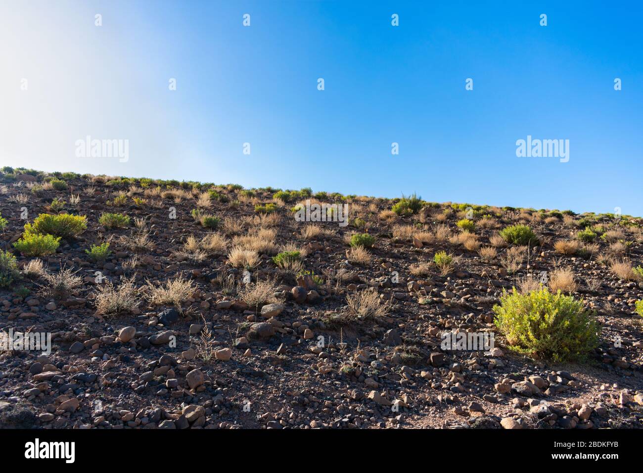 Terra di Barren nel Marocco di Midelt Foto Stock