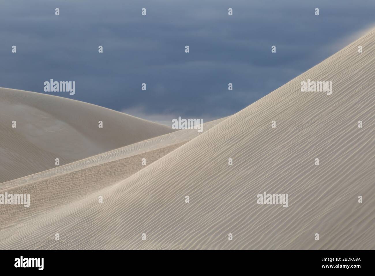 Dune di sabbia vicino Cervantes, Australia Occidentale Foto Stock