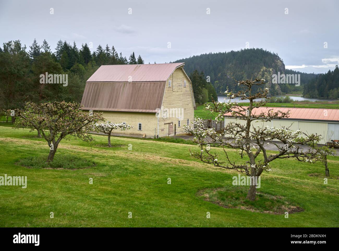 Pacific Northwest Barn. Un fienile stagionato nel Pacifico nord-occidentale. Stati Uniti. Foto Stock