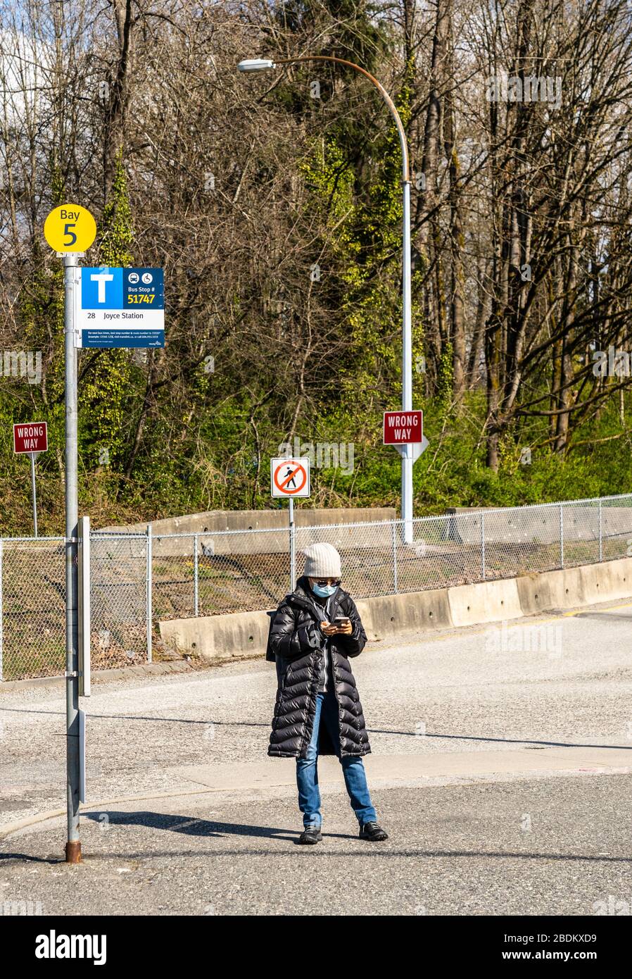 N. Vancouver - 7 aprile 2020: Donna weaing maschera chirurgica, utilizzando smartphone, in attesa alla fermata dell'autobus durante Coronavirus Covid-19 pandemic Foto Stock