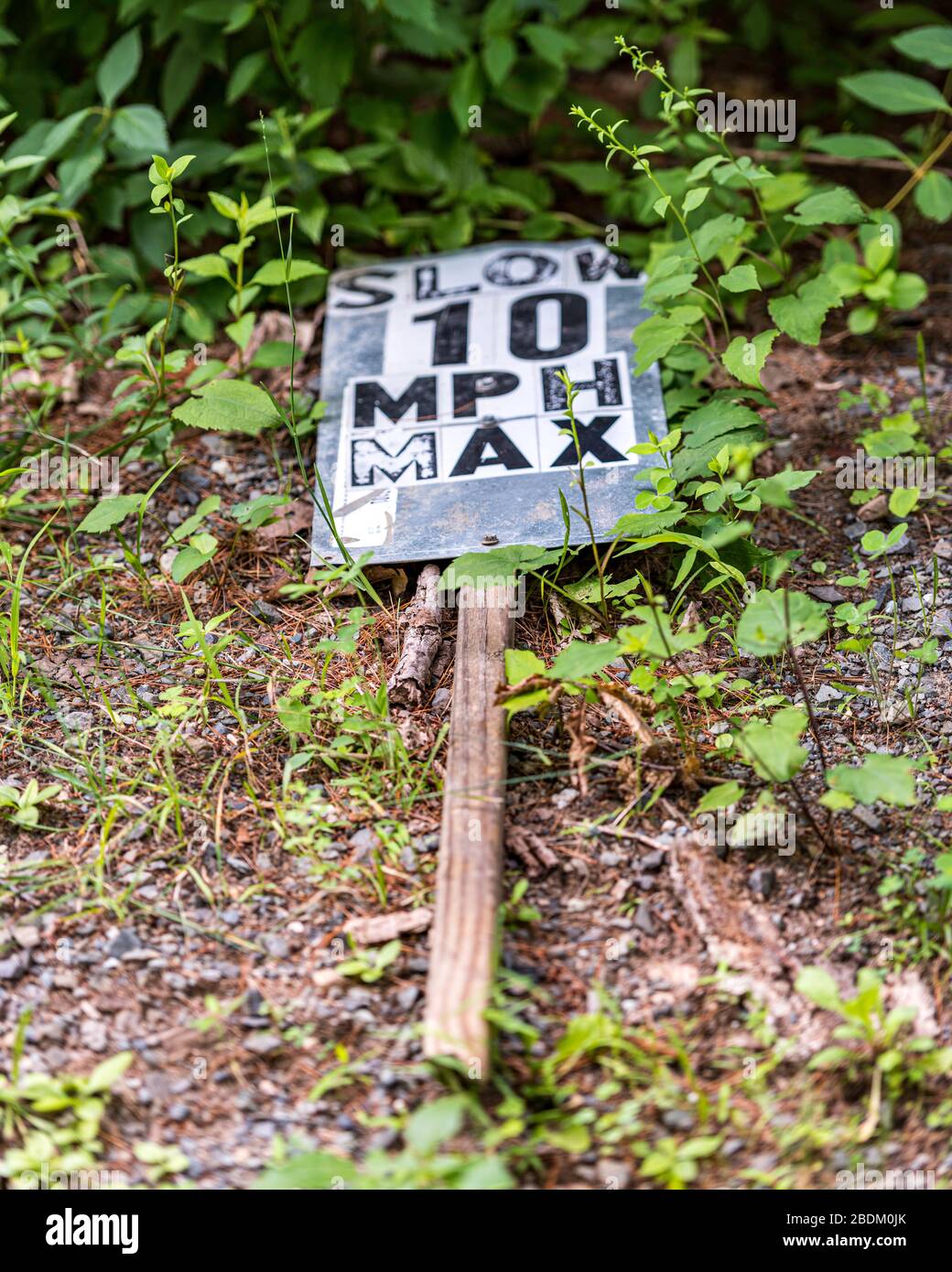 Segnale del limite di velocità preso da Bruce N Murray Photography (brucenmurray.com) Foto Stock