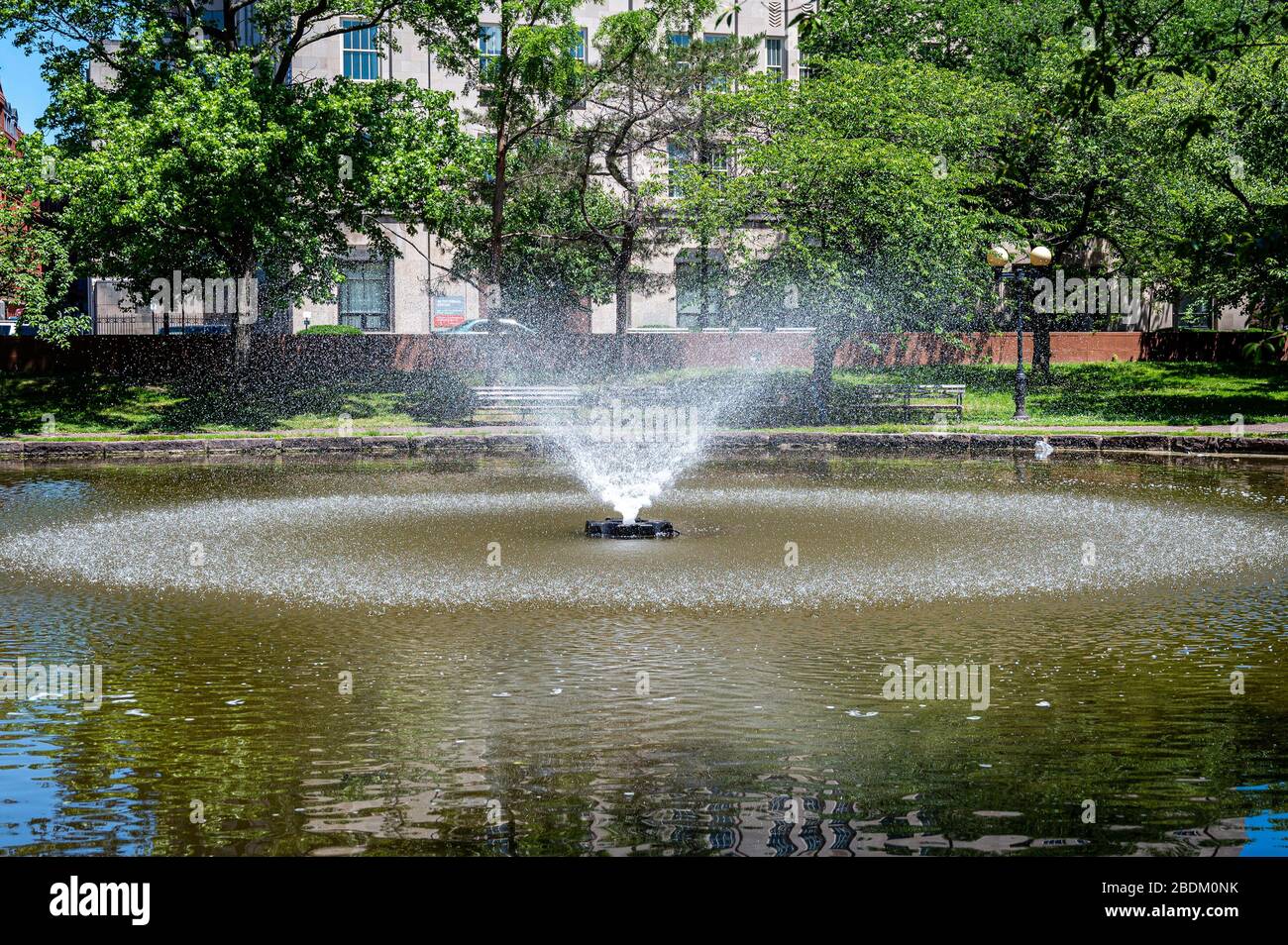 La Fontana di Lily Pond Bushnell Park Hartford CT. Foto Stock