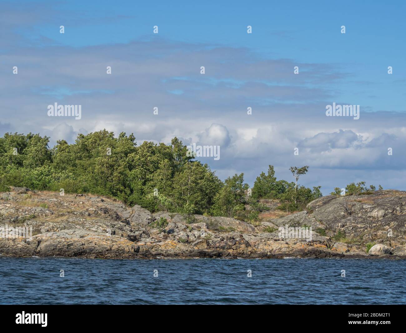 La betulla e gli altri alberi crescono sotto il cielo nuvoloso su un isolotto roccioso nel Mar Baltico Foto Stock