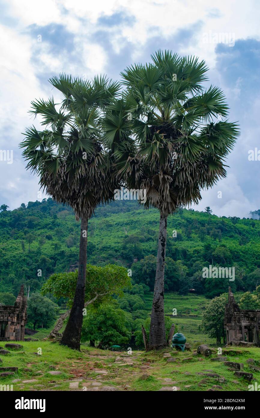 VAT Phou tempio complesso nel sud del Laos Foto Stock