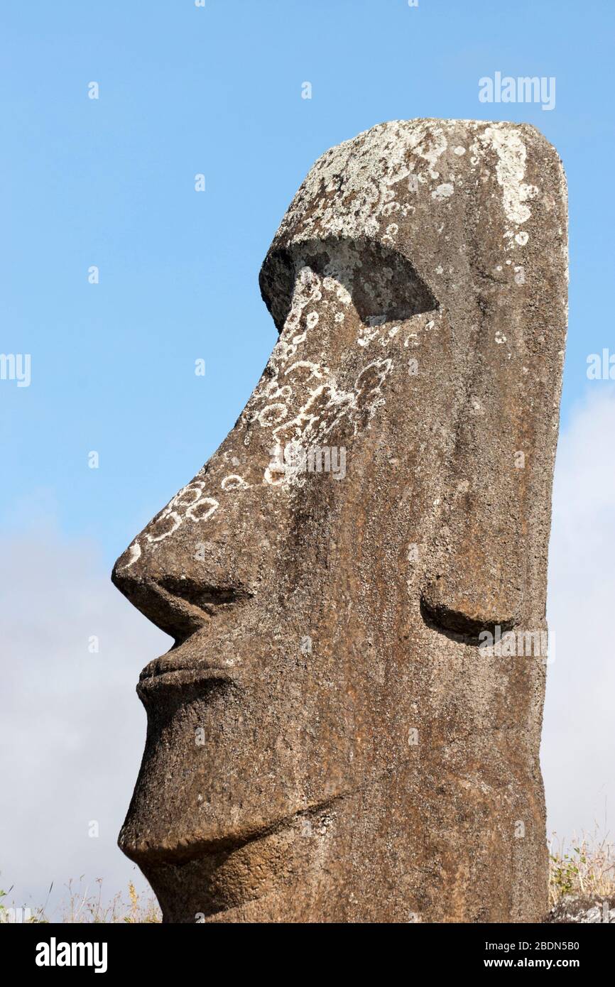 Profilo di testa di pietra a Rano Raraku moai cava sull'isola di Pasqua nel Sud Pacifico Foto Stock