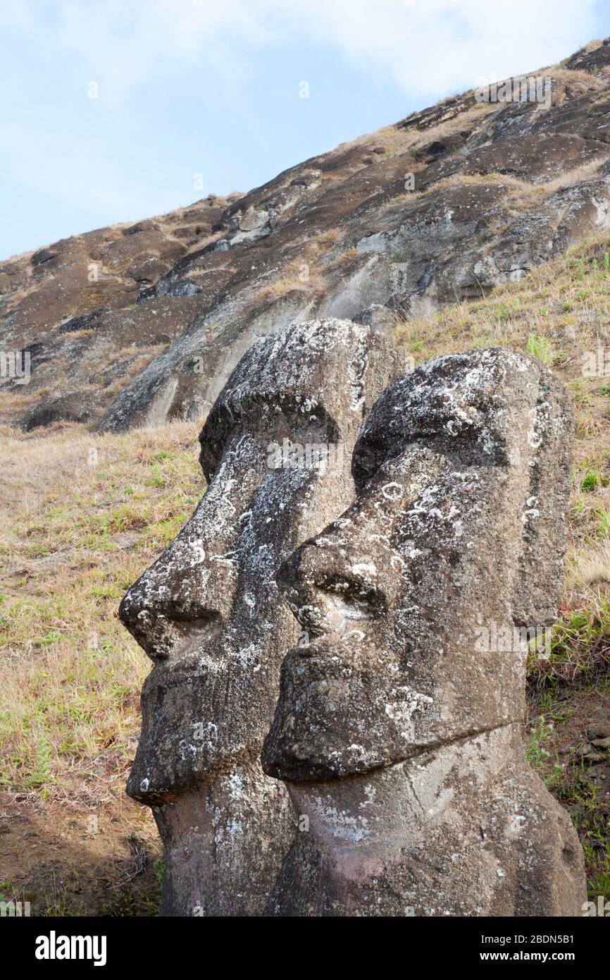 Due moai a Rano Raraku, la cava per la maggior parte delle statue di pietra giganti dell'isola di Pasqua, Foto Stock
