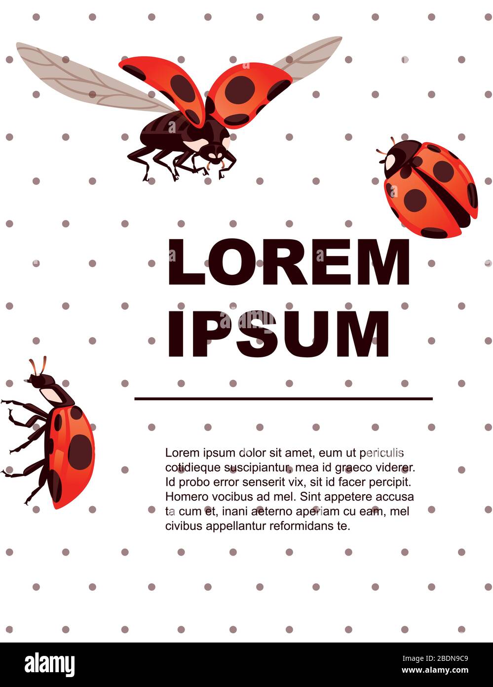 Scheda di saluto concetto ladybug beetle cartone animato bug design flat vettore illustrazione su sfondo bianco Illustrazione Vettoriale