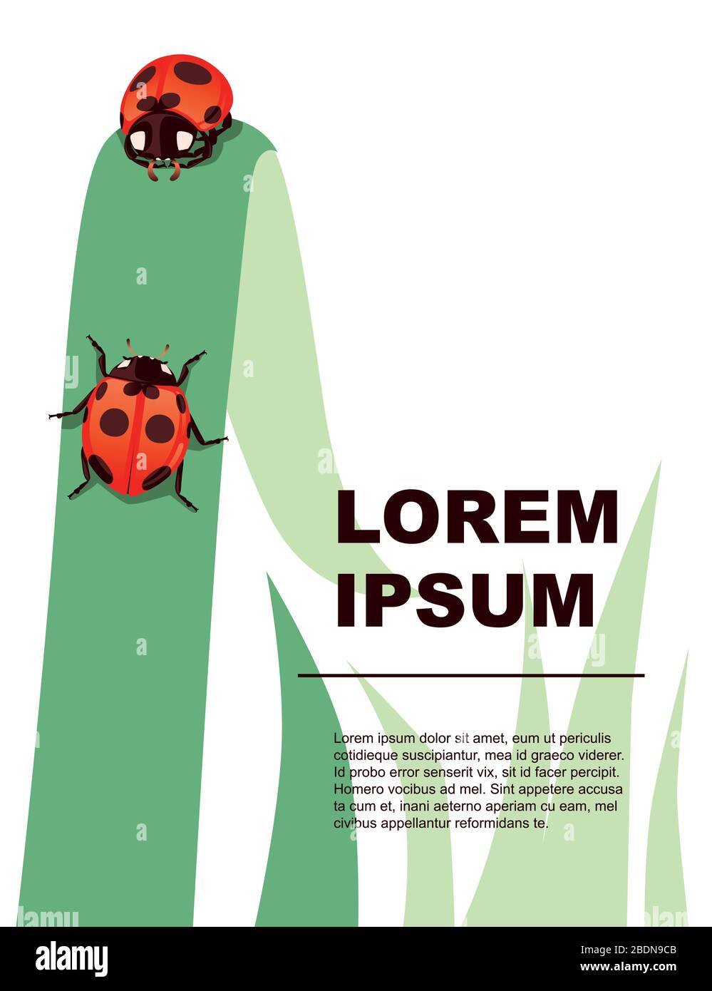 Saluti carta concetto ladybug Beetle cartone animato bug disegno piano vettore illustrazione su sfondo bianco con erba verde Illustrazione Vettoriale