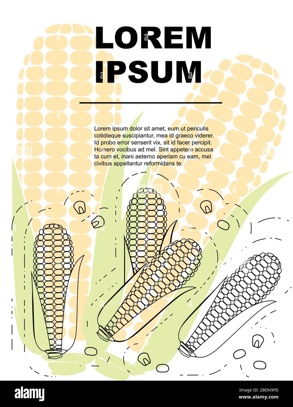 Volantino pubblicitario o carta di auguri disegno con contorno corn cob piatto vettore illustrazione su sfondo bianco con mais colorato Illustrazione Vettoriale