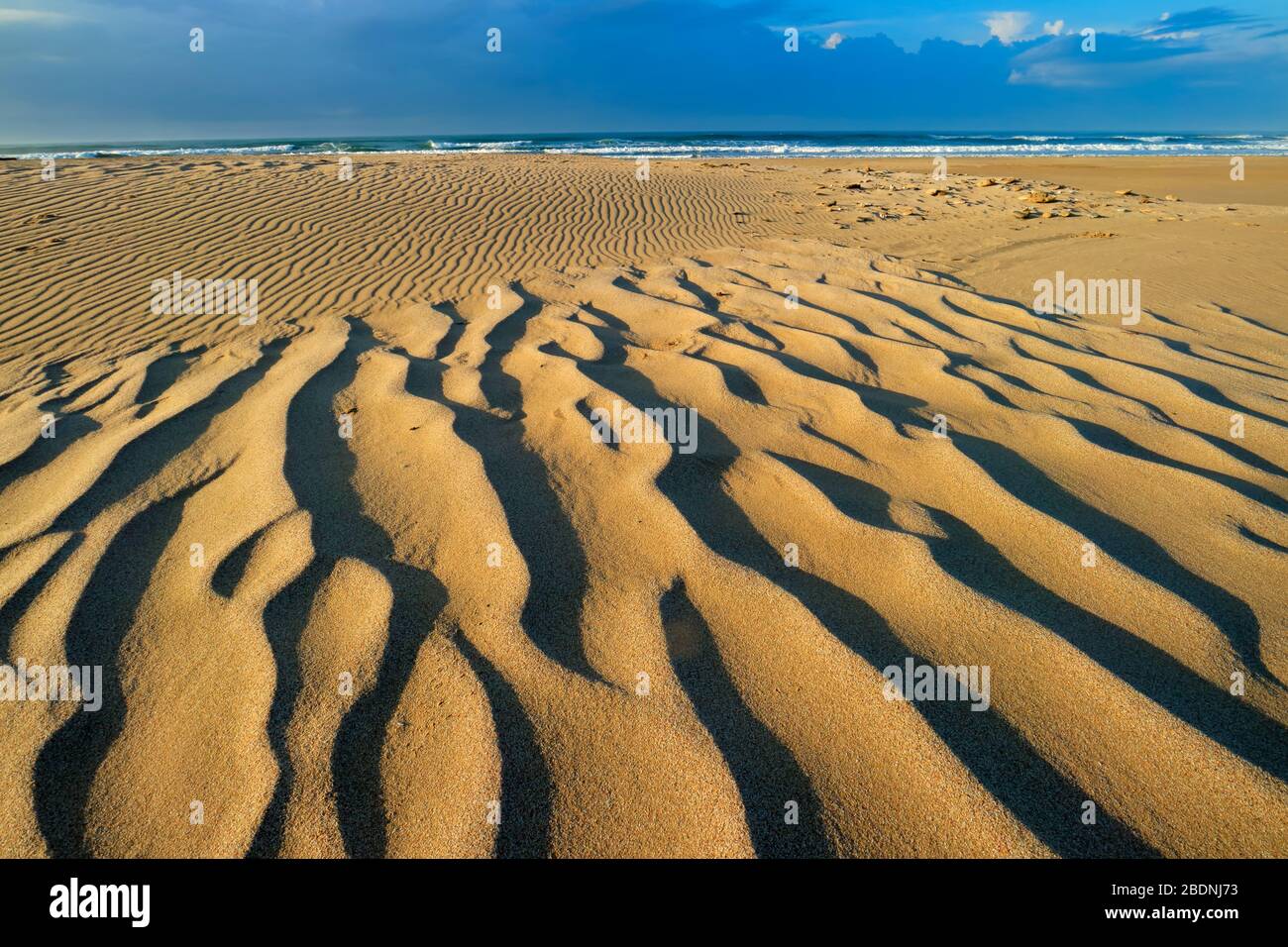 Spiaggia panoramica la mattina presto con vento soffiato pattern nella sabbia, Sud Africa Foto Stock