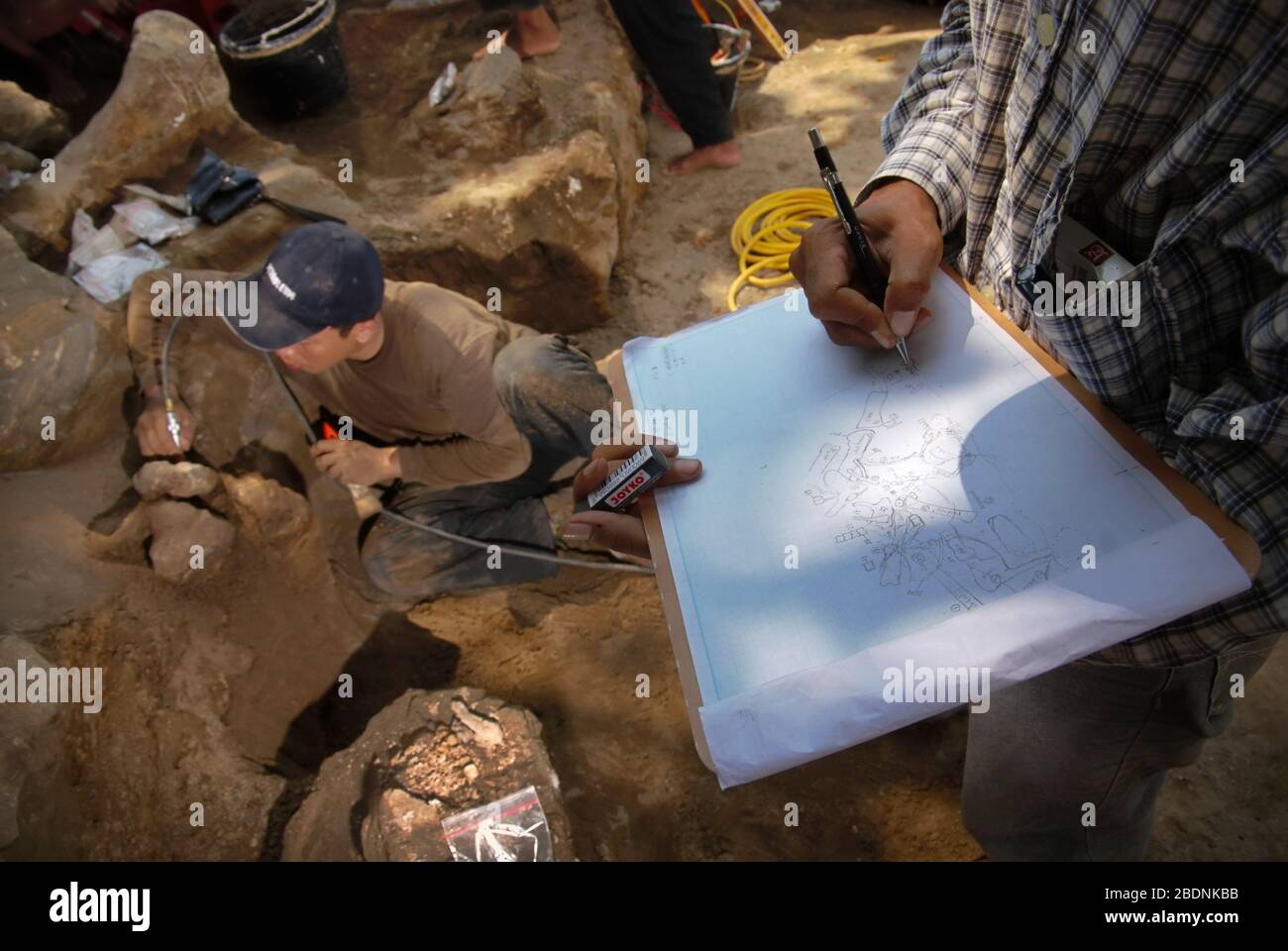 Il paleontologo Iwan Kurniawan sta facendo un disegno per mappare le posizioni dei fossili al luogo di scavo di Elephas hysuddindicus in Giava Centrale, Indonesia. Foto Stock