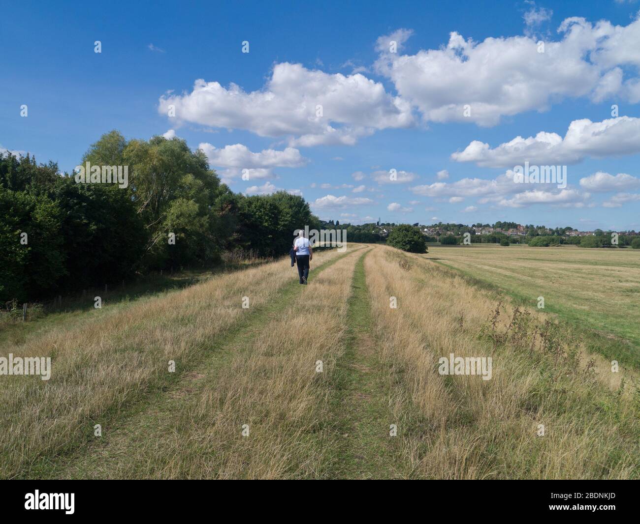 Vista sulle Northampton Washlands, adiacente al fiume Nene, un'importante riserva naturale e sito di birdwatching, Northampton, Regno Unito Foto Stock