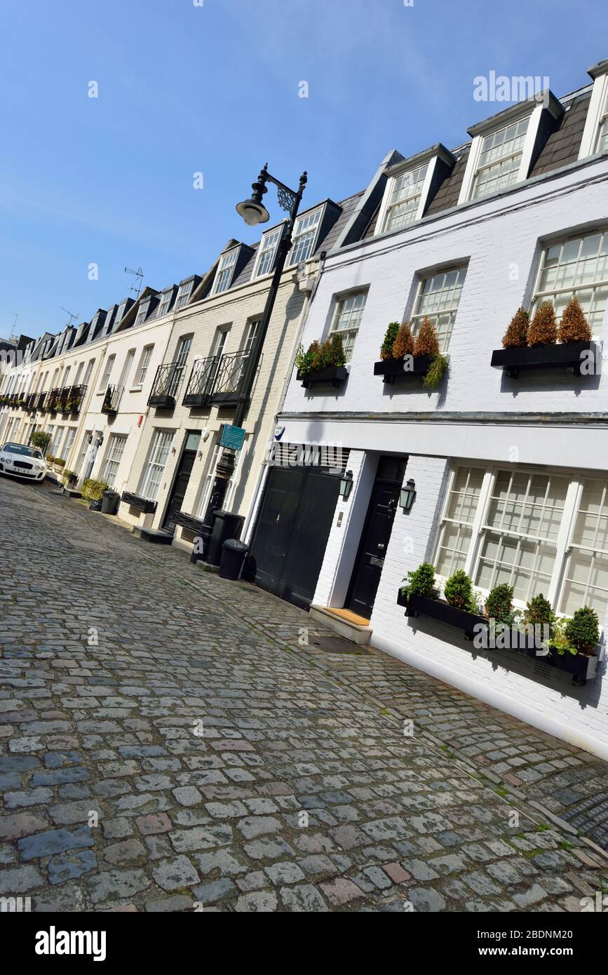 A schiera residenziale di lusso Mews Case, Eaton Mews Nord, Belgravia, West London, Regno Unito Foto Stock