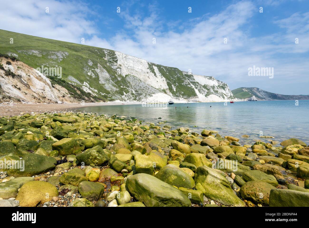 Vista sulle rocce coperte di alghe a Mupe Bay sul percorso costiero sud-ovest sulla Jurassic Coast a Dorset, Inghilterra, Regno Unito Foto Stock
