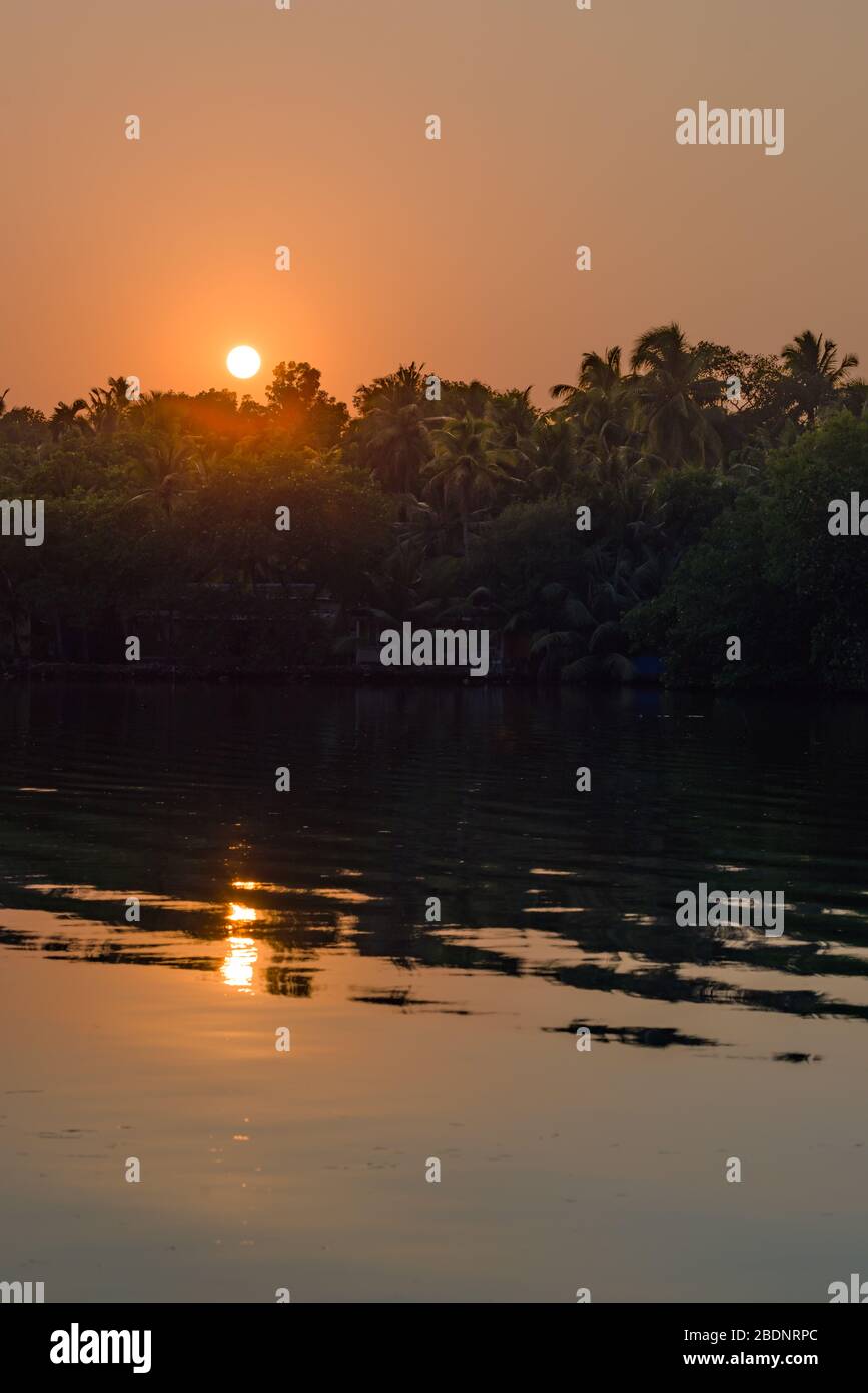Giungla di palme con foschia atmosferica al tramonto, lungo un lago di acqua fresca nel Backwaters di Eramalloor, una popolare destinazione turistica e retrea yoga Foto Stock