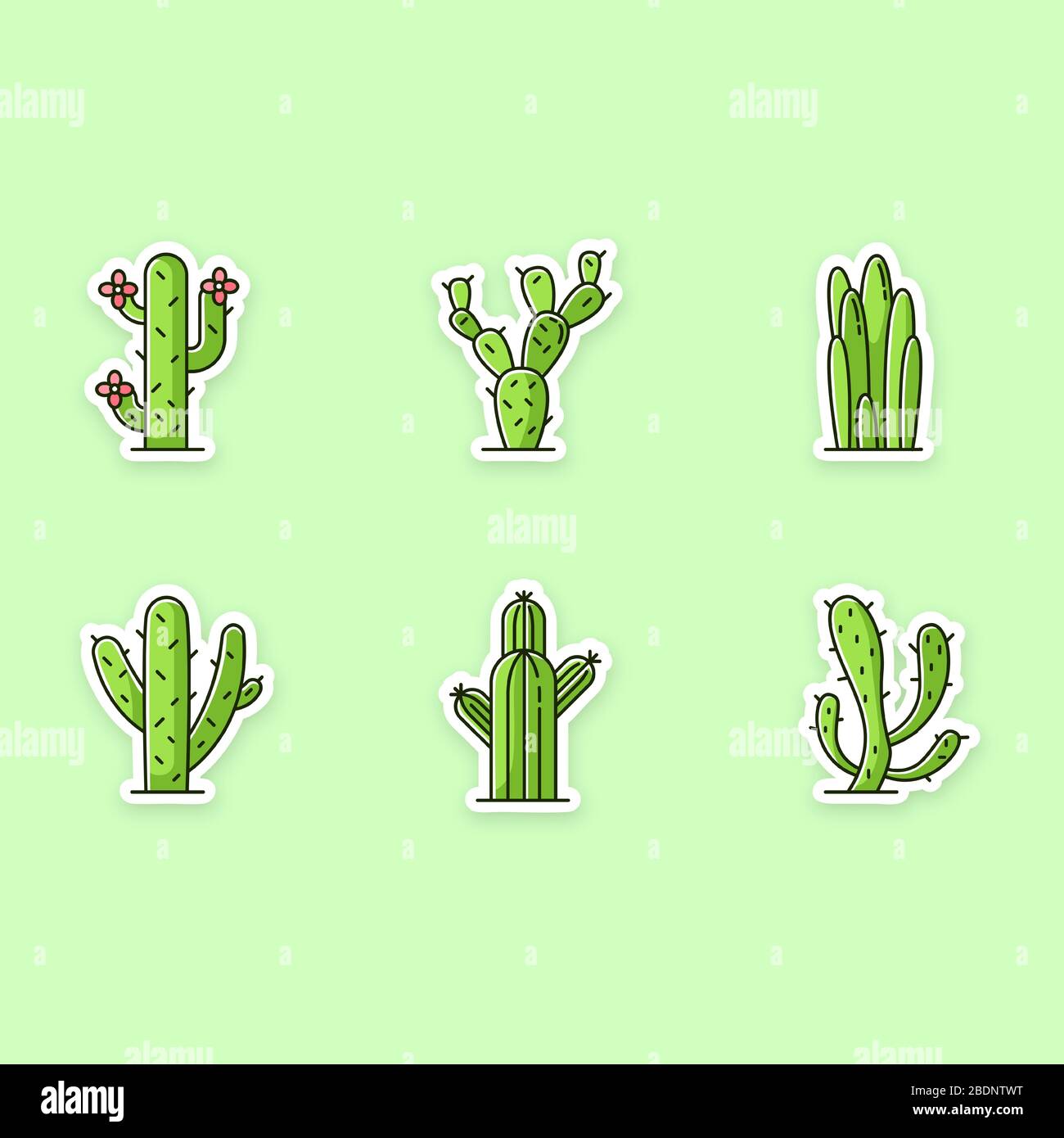 Cactus patch stampabili. Piante del deserto americano con tronchi carnosi. Set di adesivi, spille e badge RGB. Diversi succulenti. Area arida Illustrazione Vettoriale