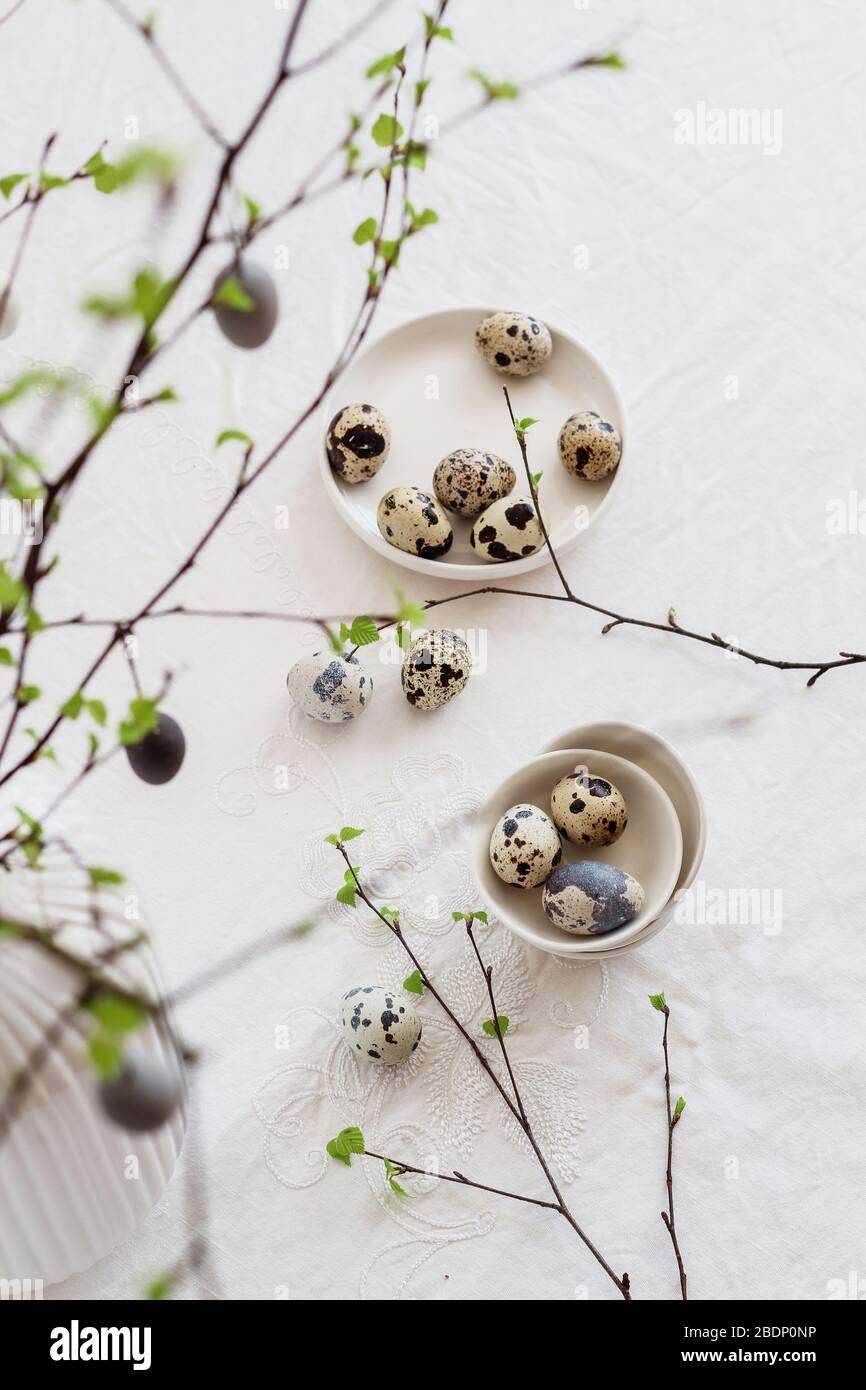 Tavola di Pasqua decorata con uova di quaglia e rami di betulla. Moderno decor minimalista di Pasqua. Scatto dall'alto Foto Stock