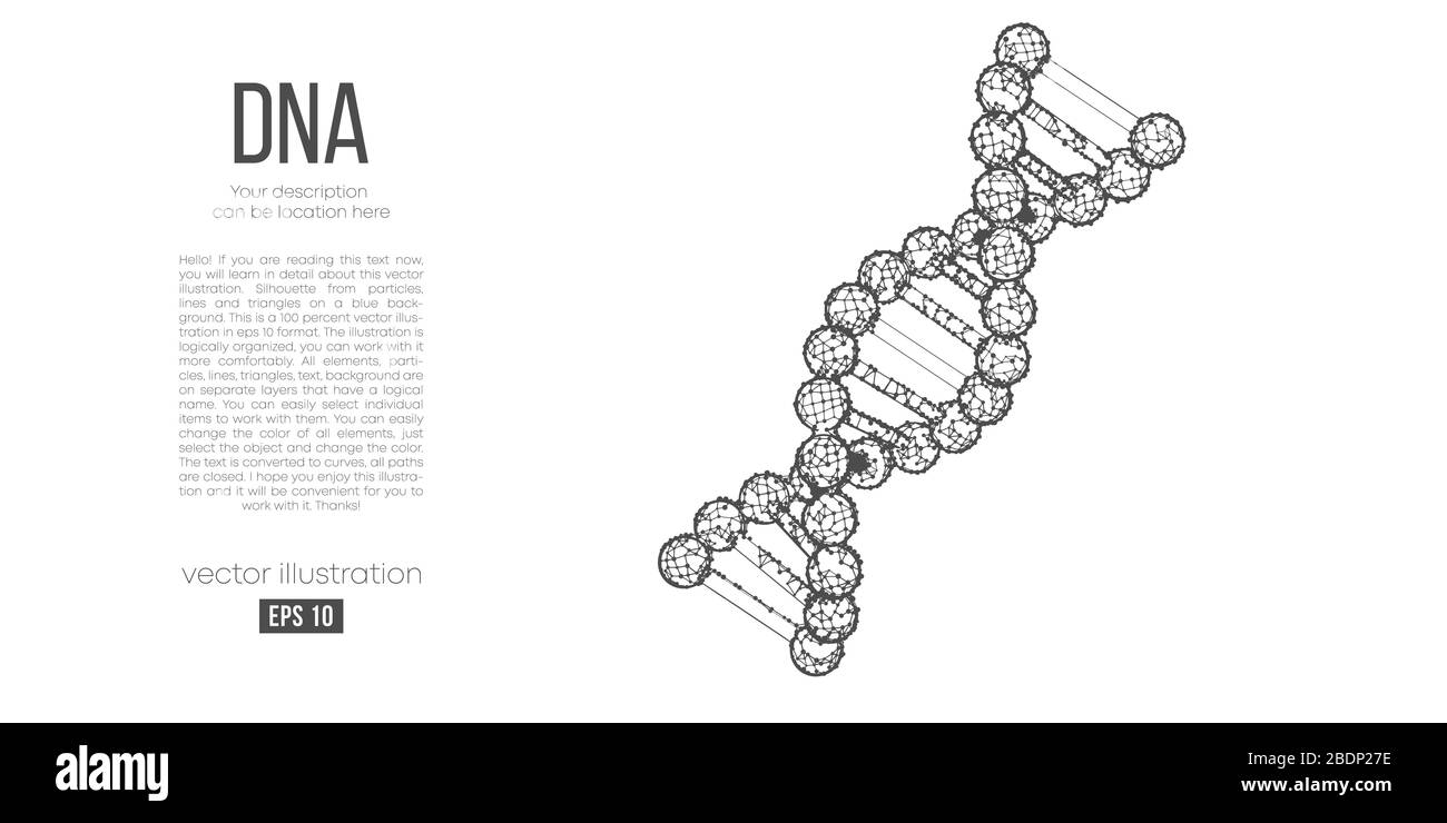 Silhouette astratta del dna poligonale. Scansione, ricerca e diagnosi del dna umano. Vettore a basso poli, a struttura a reticolo. Illustrazione Vettoriale