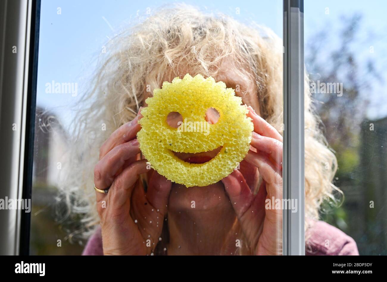 Donna che pulisce le sue finestre usando una spugna di pulizia di Scrub  Daddy Foto stock - Alamy