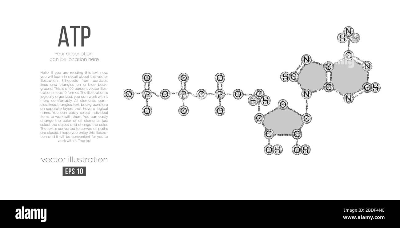 Silhouette astratta della molecola poligonale ATP acid su sfondo bianco. Scheletrico, formula organica. Illustrazione Vettoriale