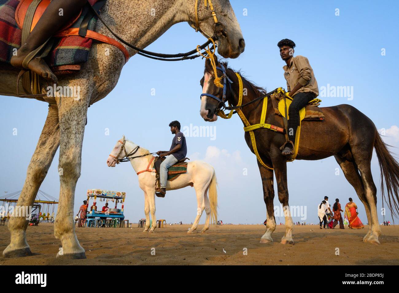 Cavalli e loro cavalieri a Marina Beach, Chennai, India Foto Stock