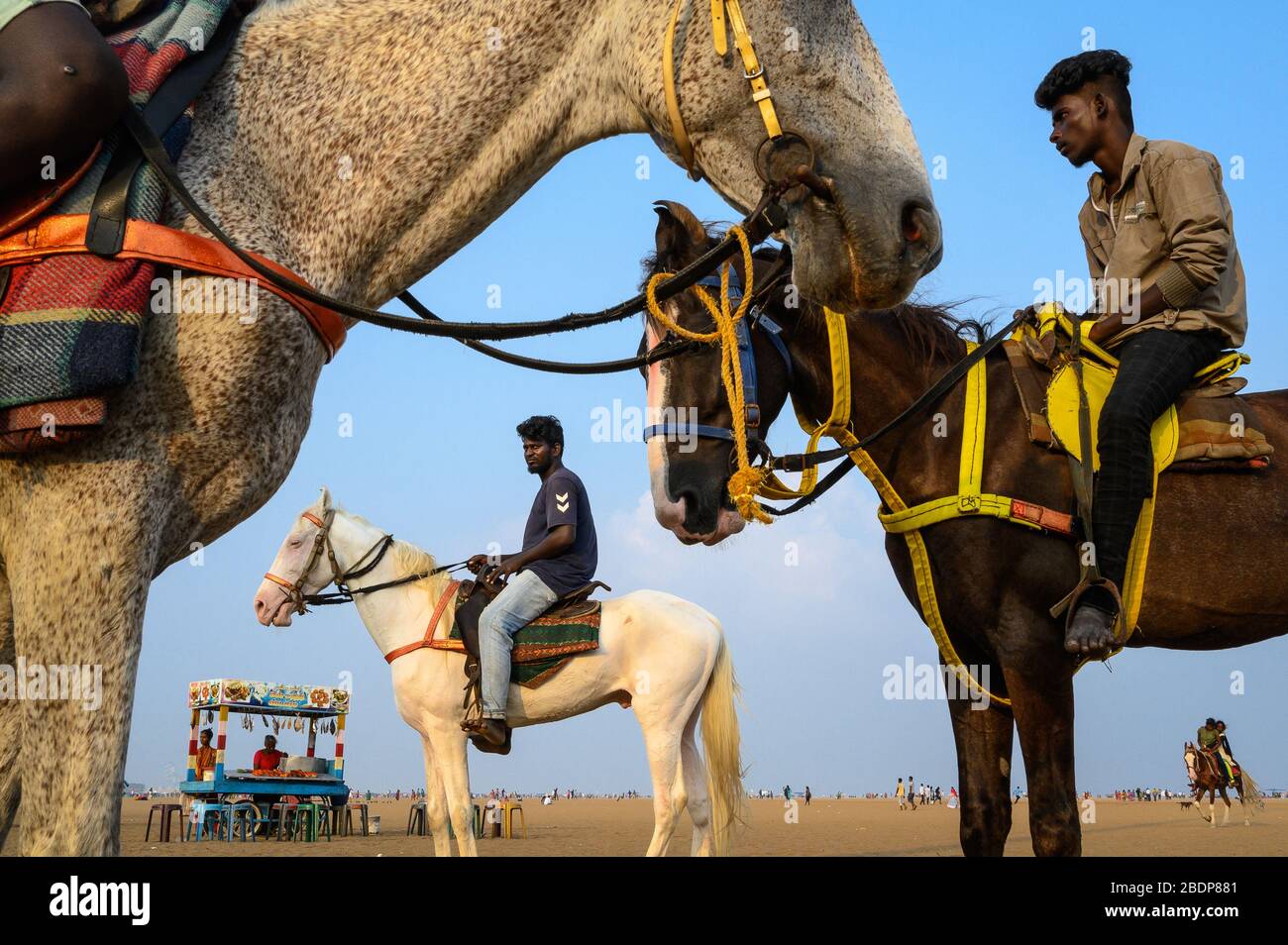 Cavalli e loro cavalieri a Marina Beach, Chennai, India Foto Stock