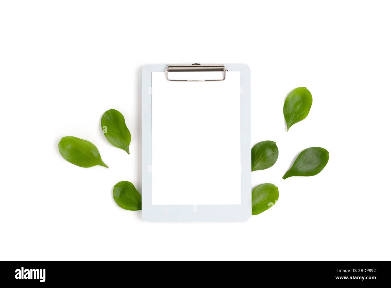 Cornice in foglie verdi su sfondo blu pastello. Appunti con mockup di carta. Concetto di primavera. Foto Stock