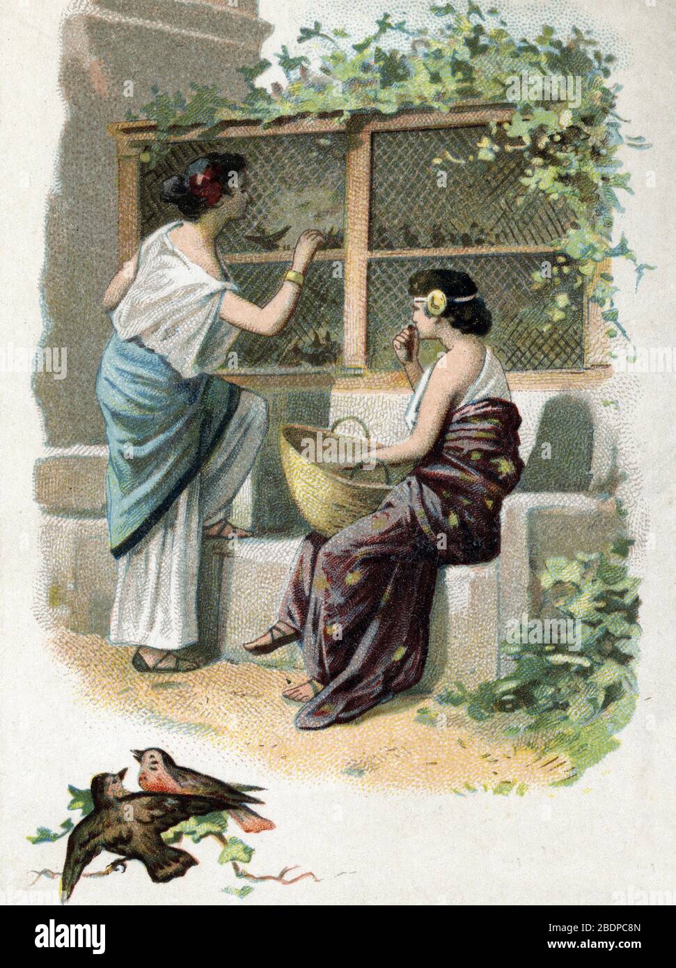 ELEVAGE de grives apprecies des gourmets sous l'Empire romain (allevamento di truschi ai tempi dell'impero romano) Chromolithograph 19 ° secolo PRI Foto Stock