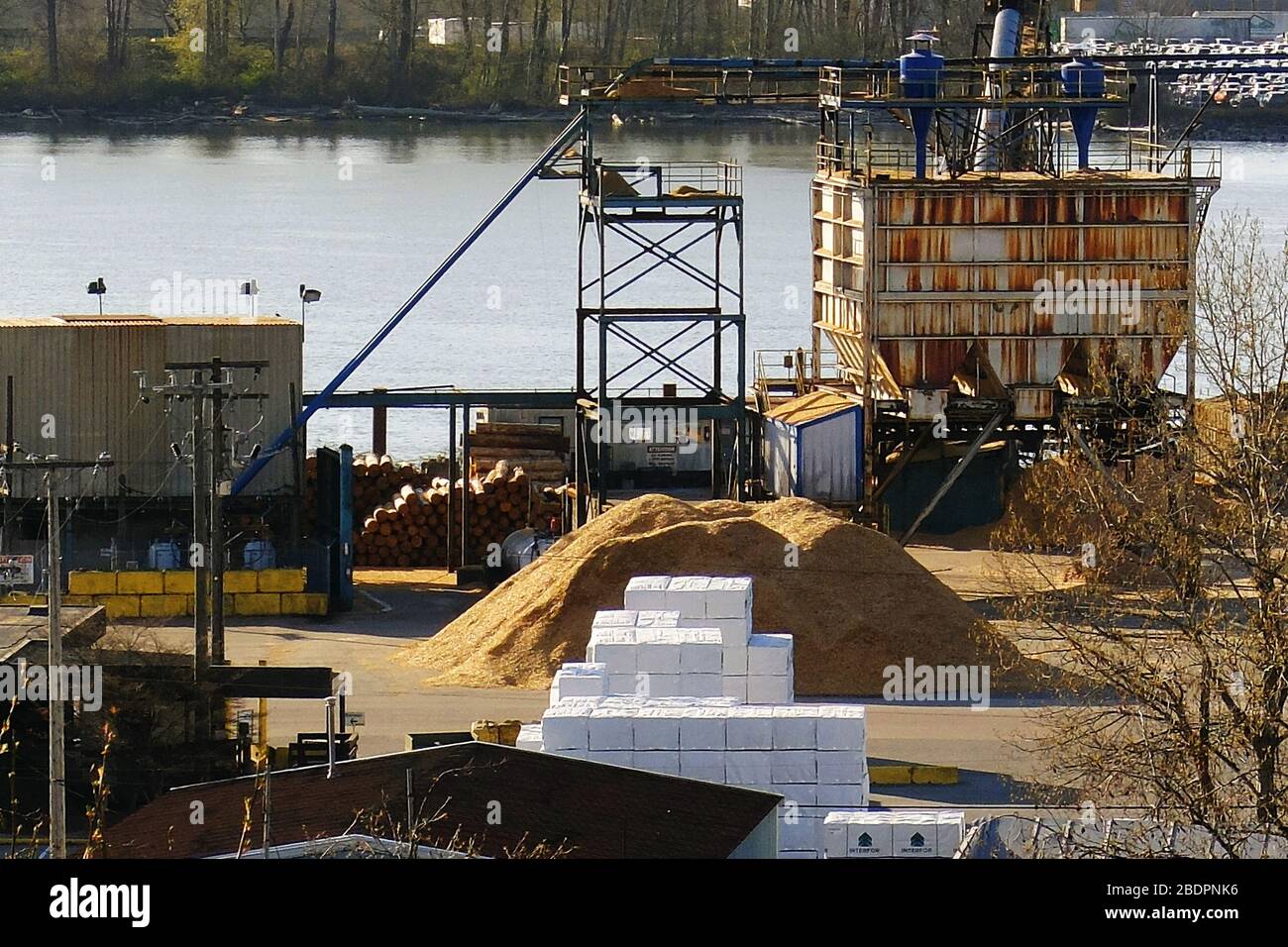 I trucioli di legno sono visti al Porto di Vancouver, durante la pandemia COVID19, il 07 aprile 2020, in Surrey, B.C., Canada. I trucioli di legno sono usati per fare polpa, e polpa può essere una risorsa usata nella produzione di camici di carta, maschere chirurgiche e tappi. (Foto di Adrian Brown/SIPA USA) Foto Stock