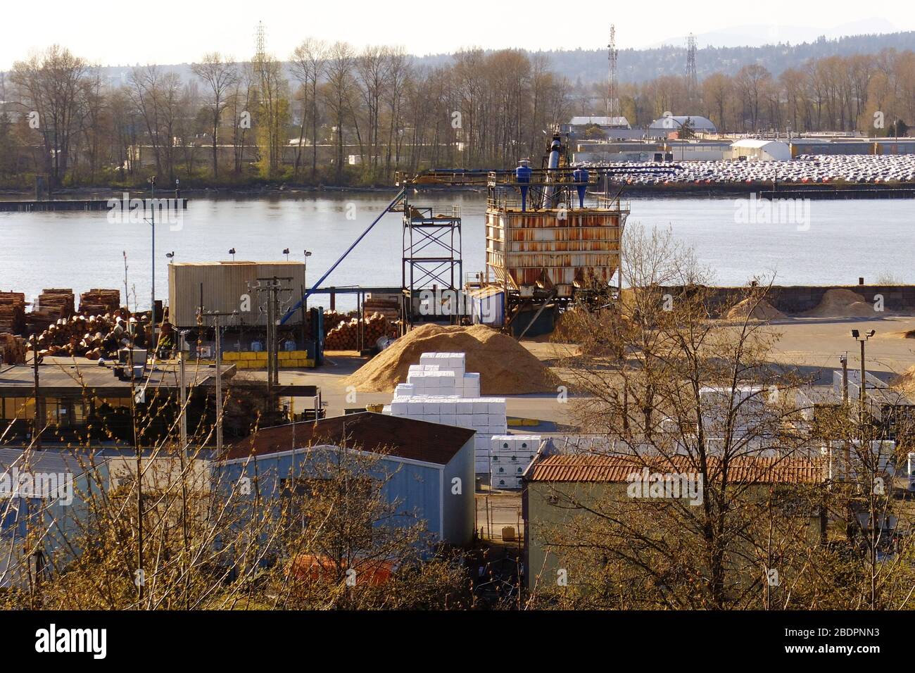 I trucioli di legno sono visti al Porto di Vancouver, durante la pandemia COVID19, il 07 aprile 2020, in Surrey, B.C., Canada. I trucioli di legno sono usati per fare polpa, e polpa può essere una risorsa usata nella produzione di camici di carta, maschere chirurgiche e tappi. (Foto di Adrian Brown/SIPA USA) Foto Stock