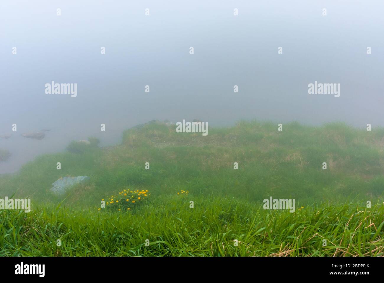 nebbia sul lago. riva erbosa con rocce. cielo coperto. natura misteriosa. concetto di scarsa visibilità Foto Stock