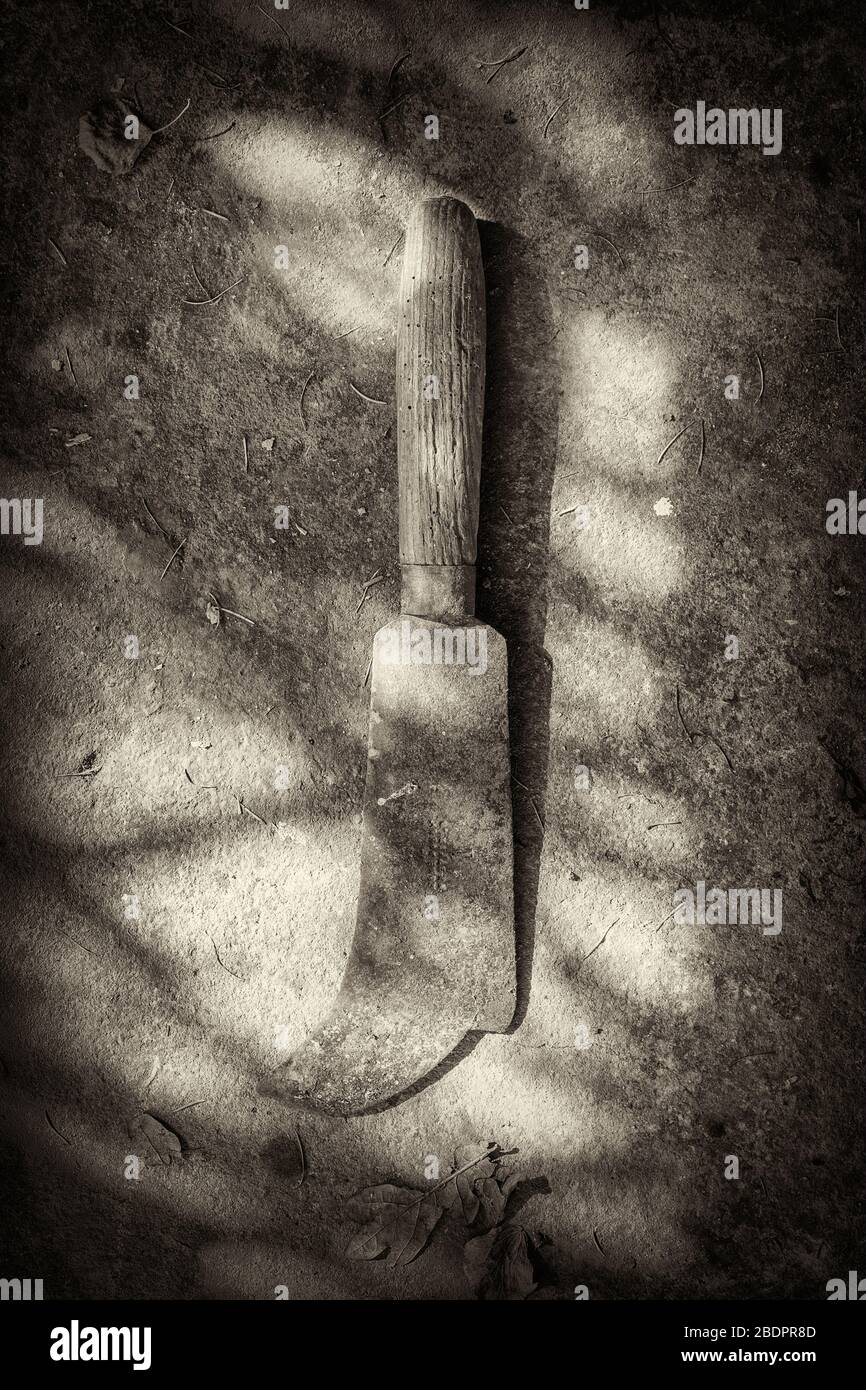 Scatto bianco e nero di un attrezzo di giardinaggio del hatchet maneggiato in legno, girato dall'alto su un pavimento del capannone con le ombre Foto Stock