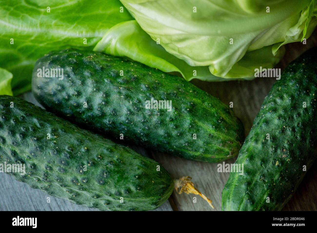 Verdure fresche verdi. Cetrioli e cavoli freschi. Alimenti sani, nutrizione organica. Prodotti ecologici. Vegetarismo, veganismo. Vitamine in verdure Foto Stock
