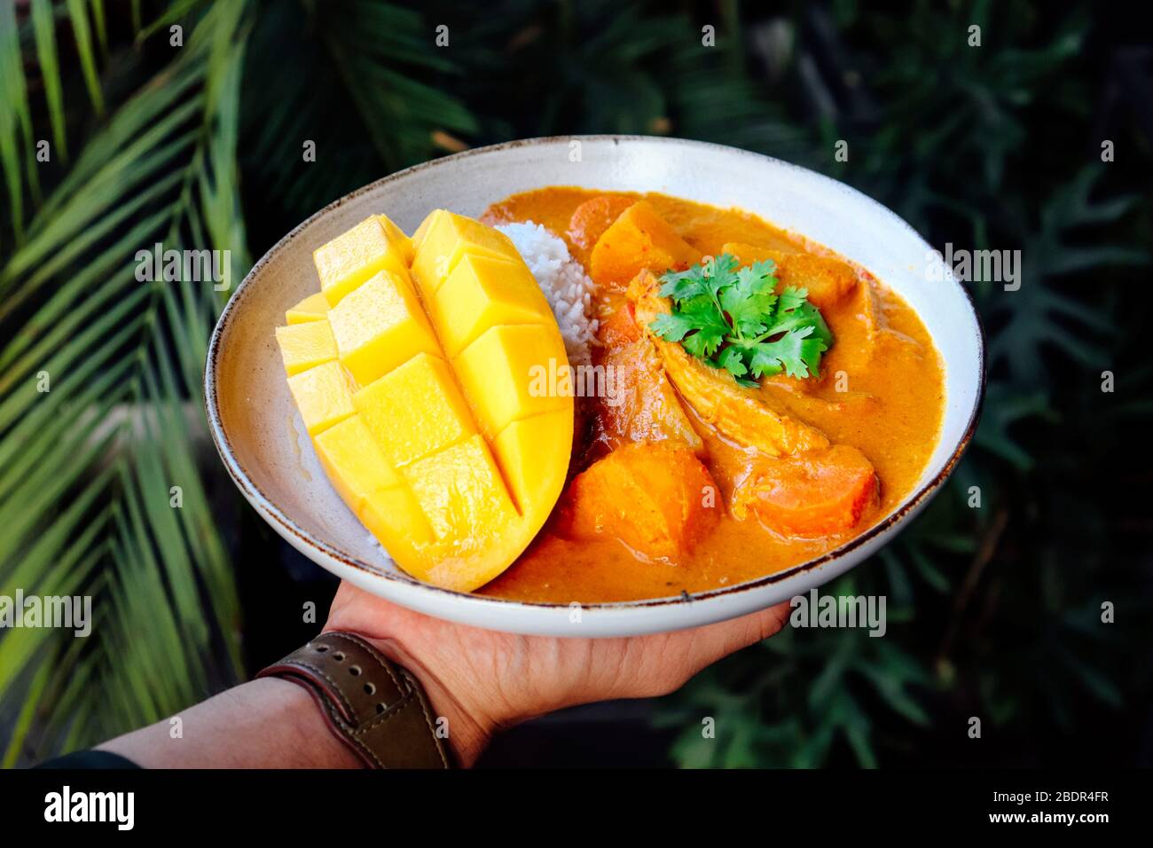 Curry di pollo al mango con riso in piatti bianchi serviti a voi Foto Stock