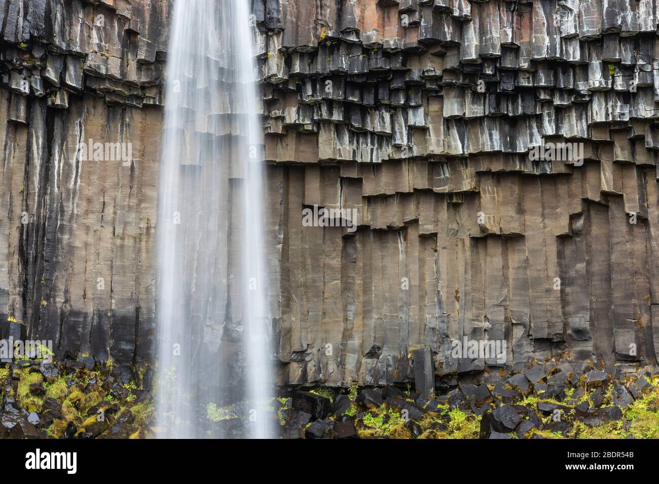 Colonne Basault alla cascata Svartifoss in Islanda Foto Stock
