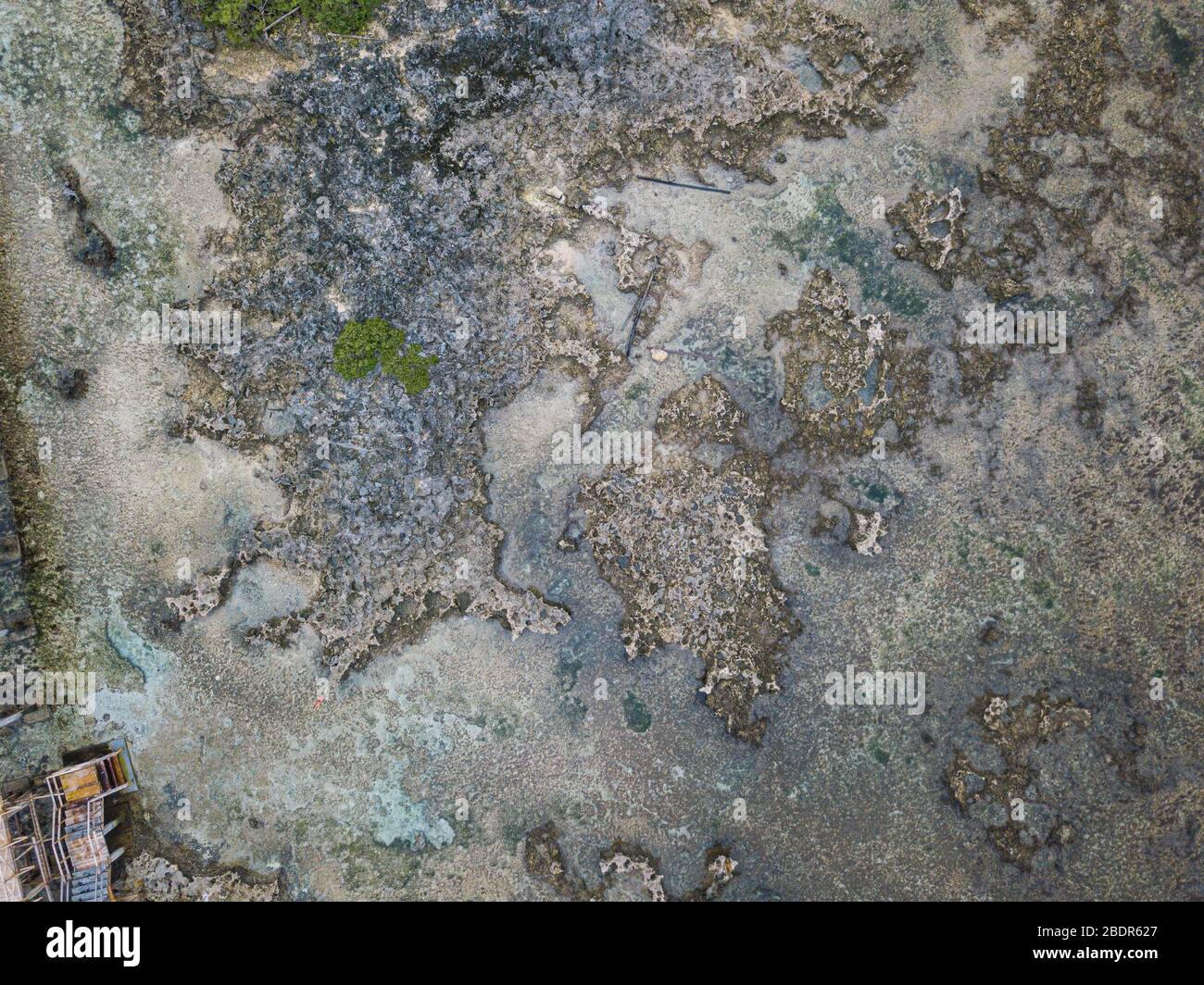 Barriera corallina aerea morta sullo sfondo del modello di spiaggia Cloud 9 Foto Stock