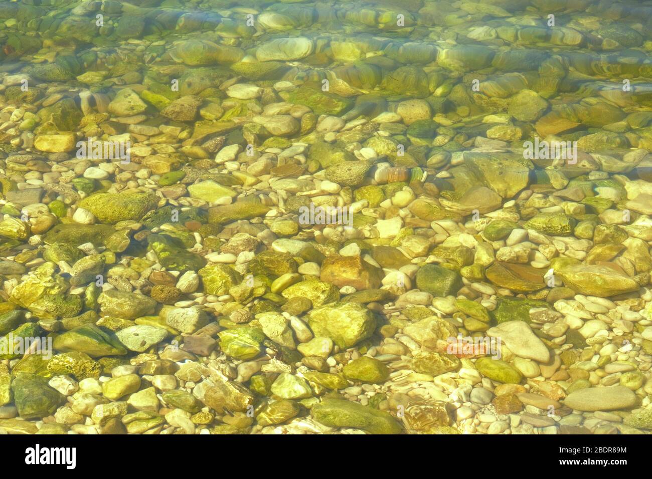 Verde trasparente acqua lago struttura. Sfondo di acqua tranquilla. Concetto di vacanza estiva. Foto Stock