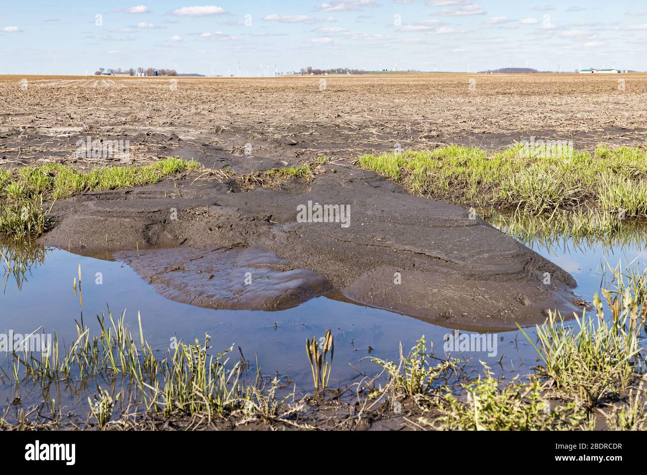 Erosione di suolo che scorre in fossato da campo di fattoria a causa di pioggia e inondazione. Concetto di suolo e metodi di allevamento di conservazione di acqua Foto Stock