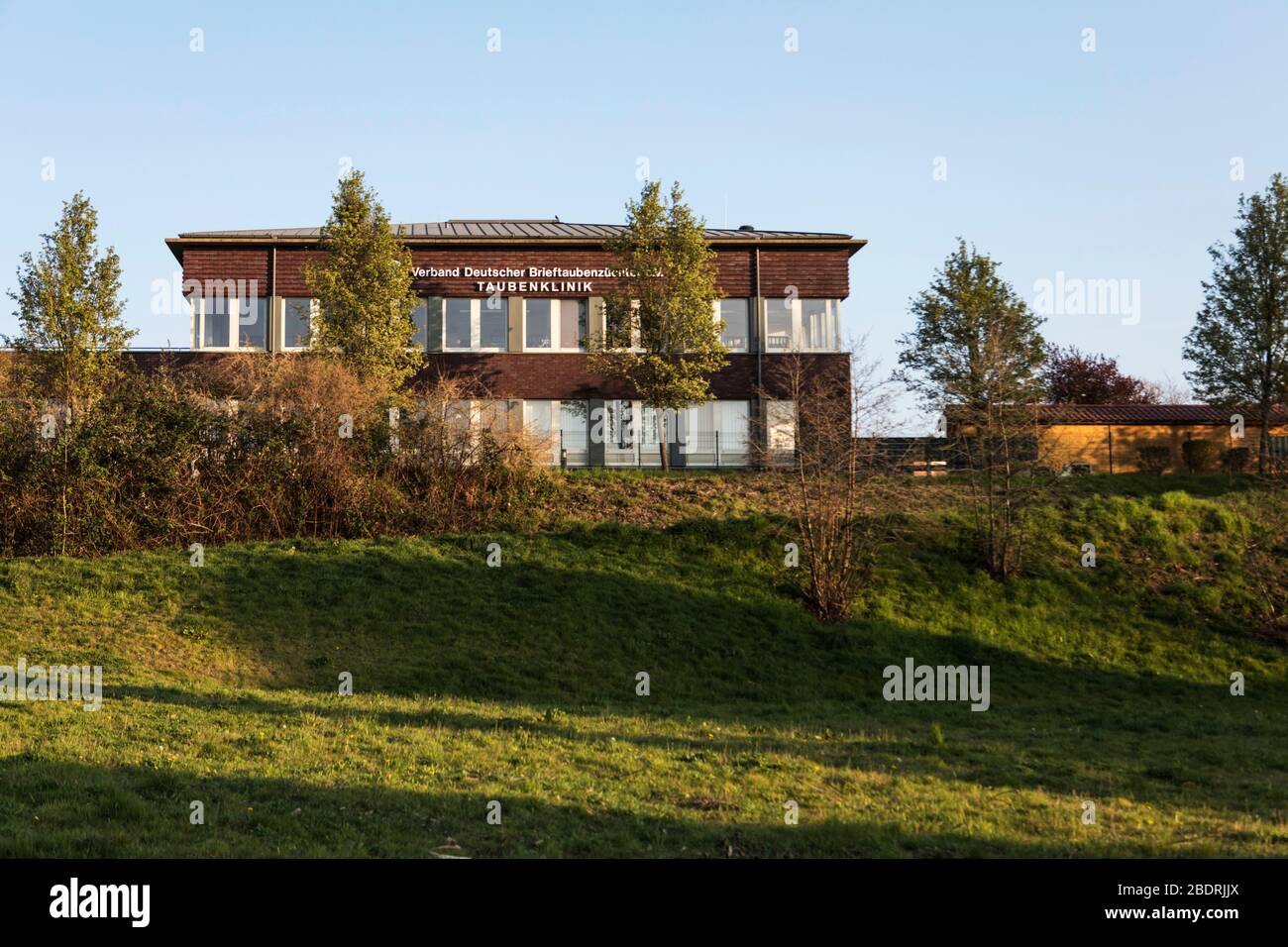 Clinica di piccione dell'Associazione dei allevatori di piccioni tedeschi e.V. Foto Stock