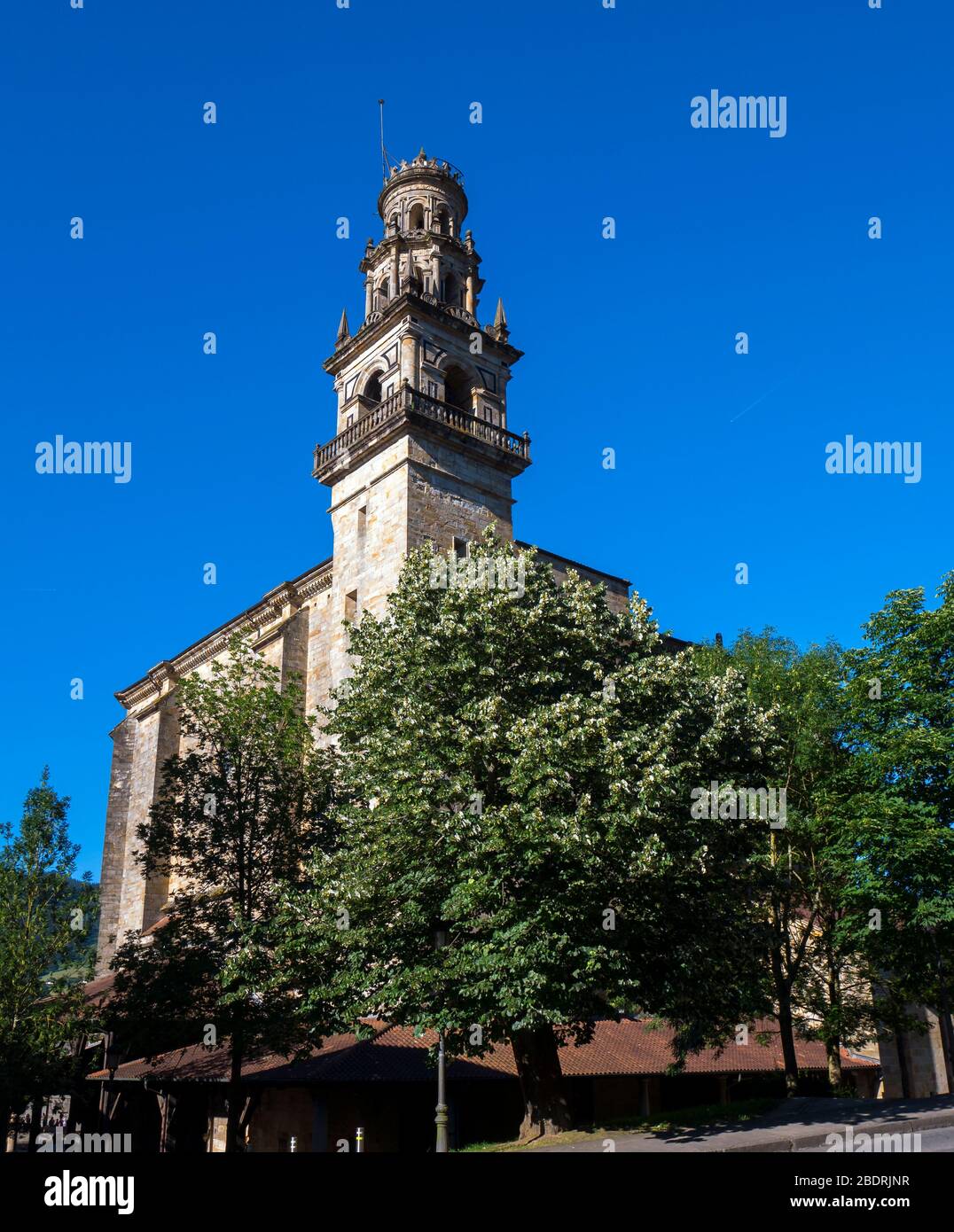 Basílica de la Purísima Concepción. Elorrio. Vizcaya. País Vasco. España Foto Stock