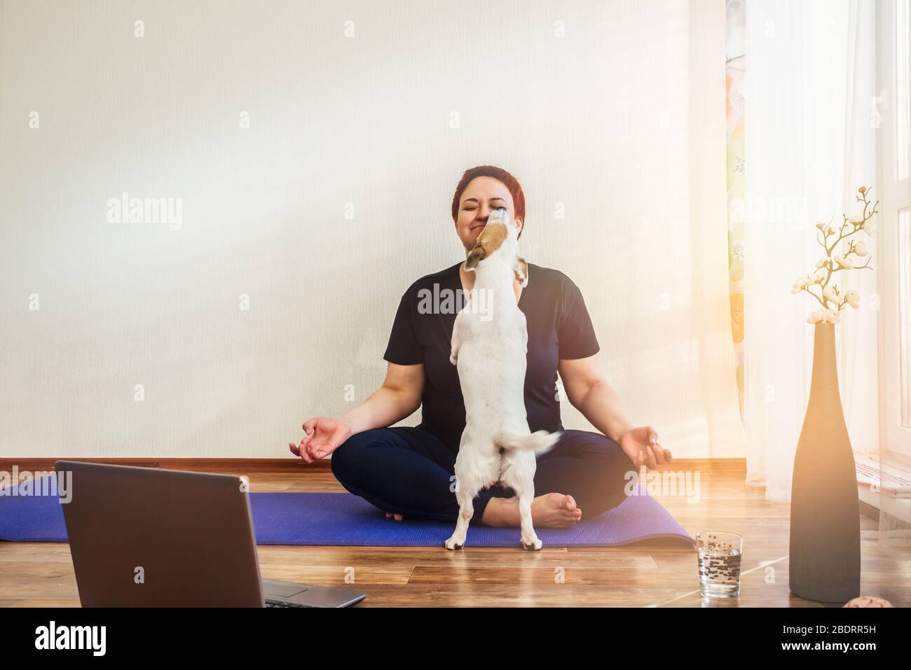 La ragazza adulta pratica online lezione di yoga a casa durante l'isolamento quarantena durante la pandemia coronavirus. Il cane lecca la faccia della ragazza Foto Stock