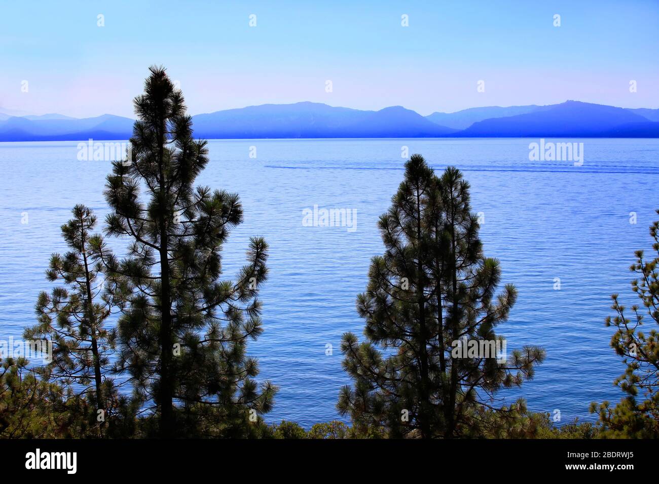 Acque pulite del lago Tahoe, USA. Foto Stock