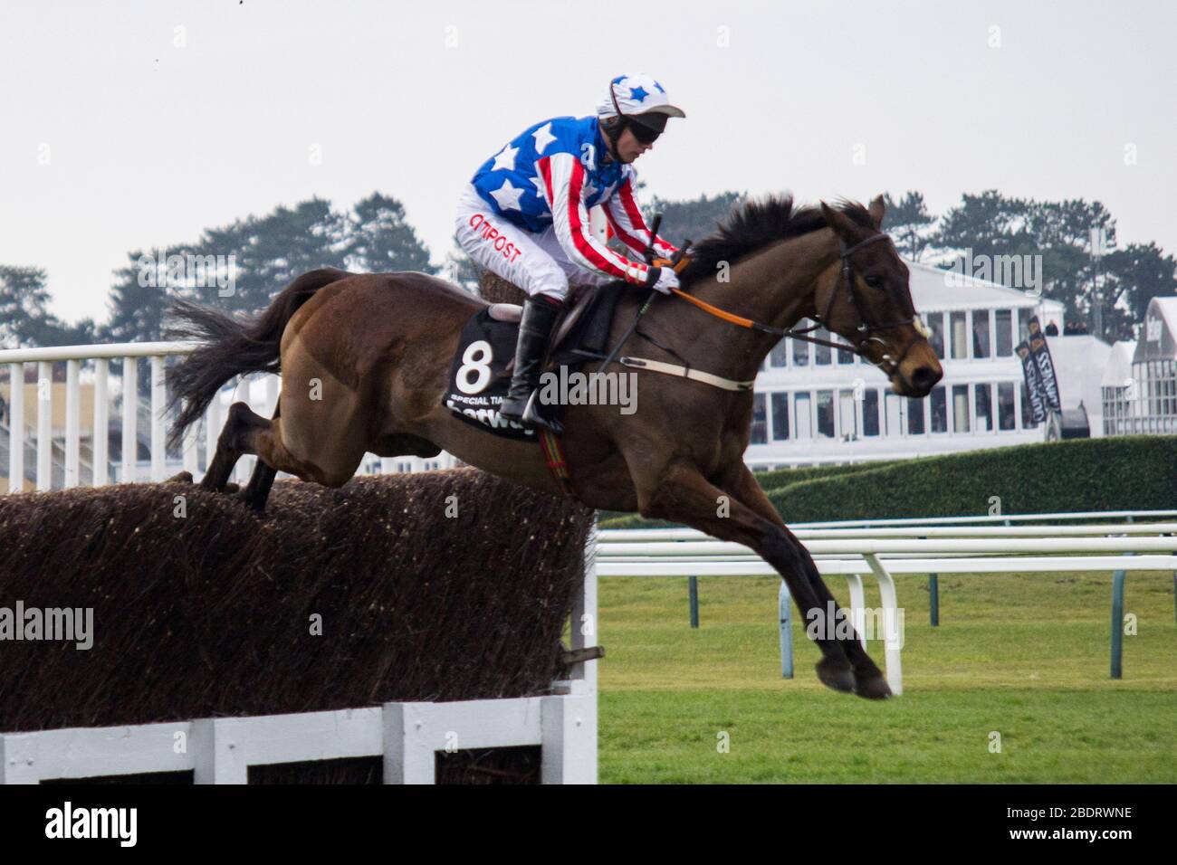 Speciale Tiara in volo durante il 2016 Queen Mother Champion Chase all'ippodromo di Cheltenham. Lewis Mitchell Foto Stock