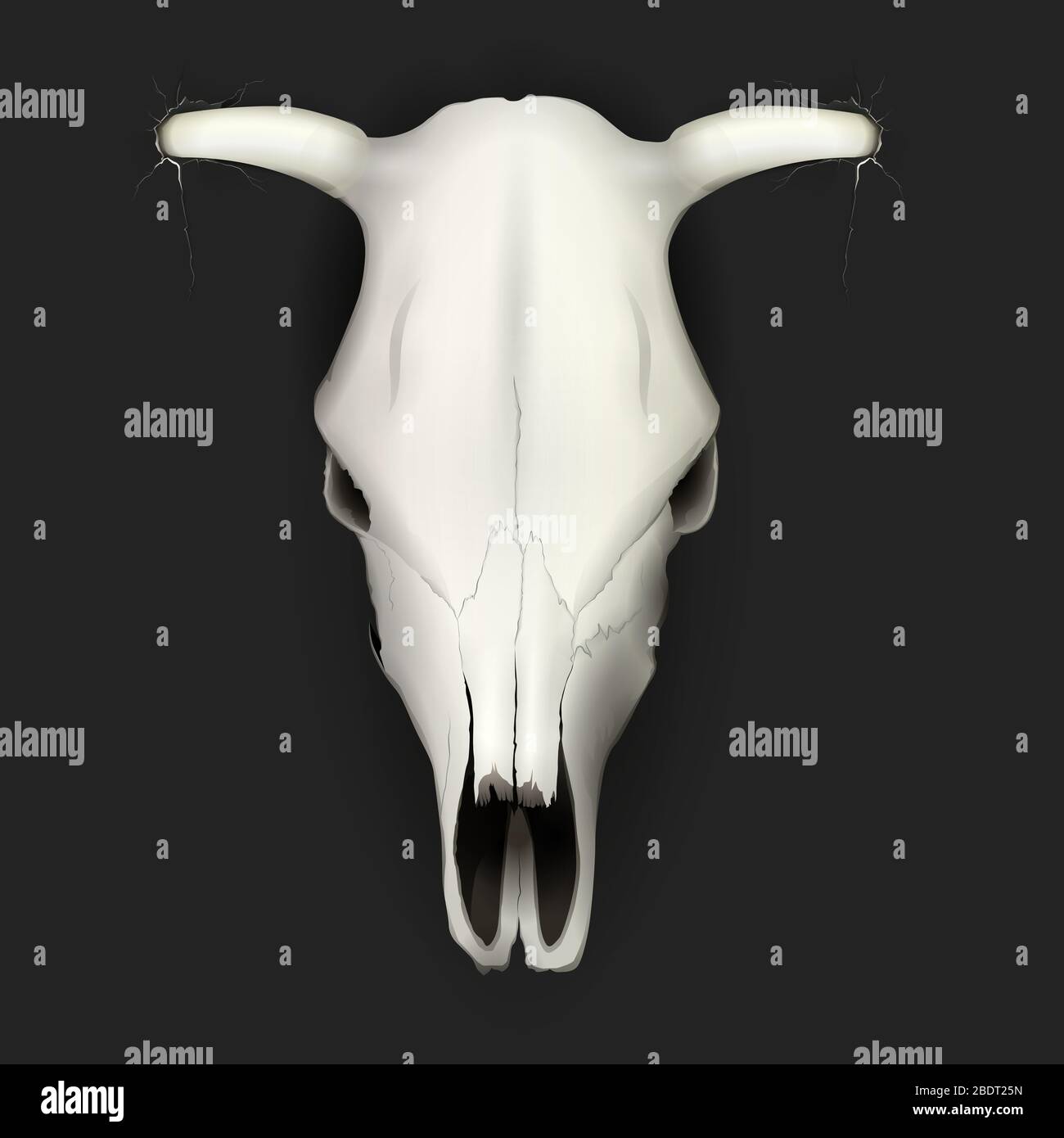 Cranio di mucca realistico con macchie e su sfondo scuro isolato illustrazione vettoriale Illustrazione Vettoriale