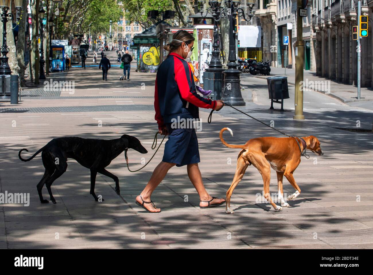 Le Ramblas di Barcellona sono praticamente deserte a causa del totale confinamento della popolazione in Spagna. La Spagna è uno dei paesi più colpiti Foto Stock