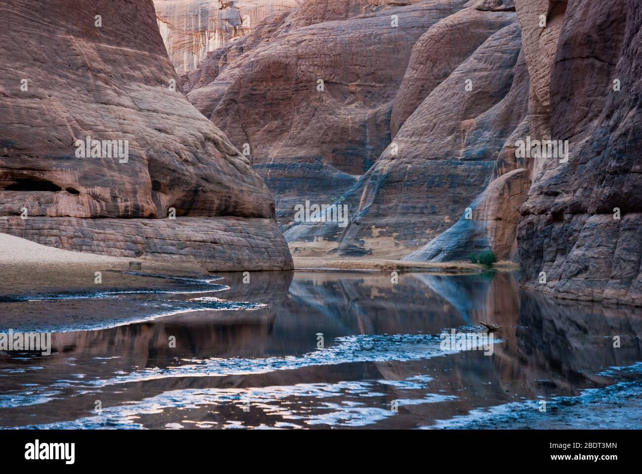 Guelta d'Archei vicino all'oasi, l'altopiano di Ennedi, Ciad, Africa Foto Stock