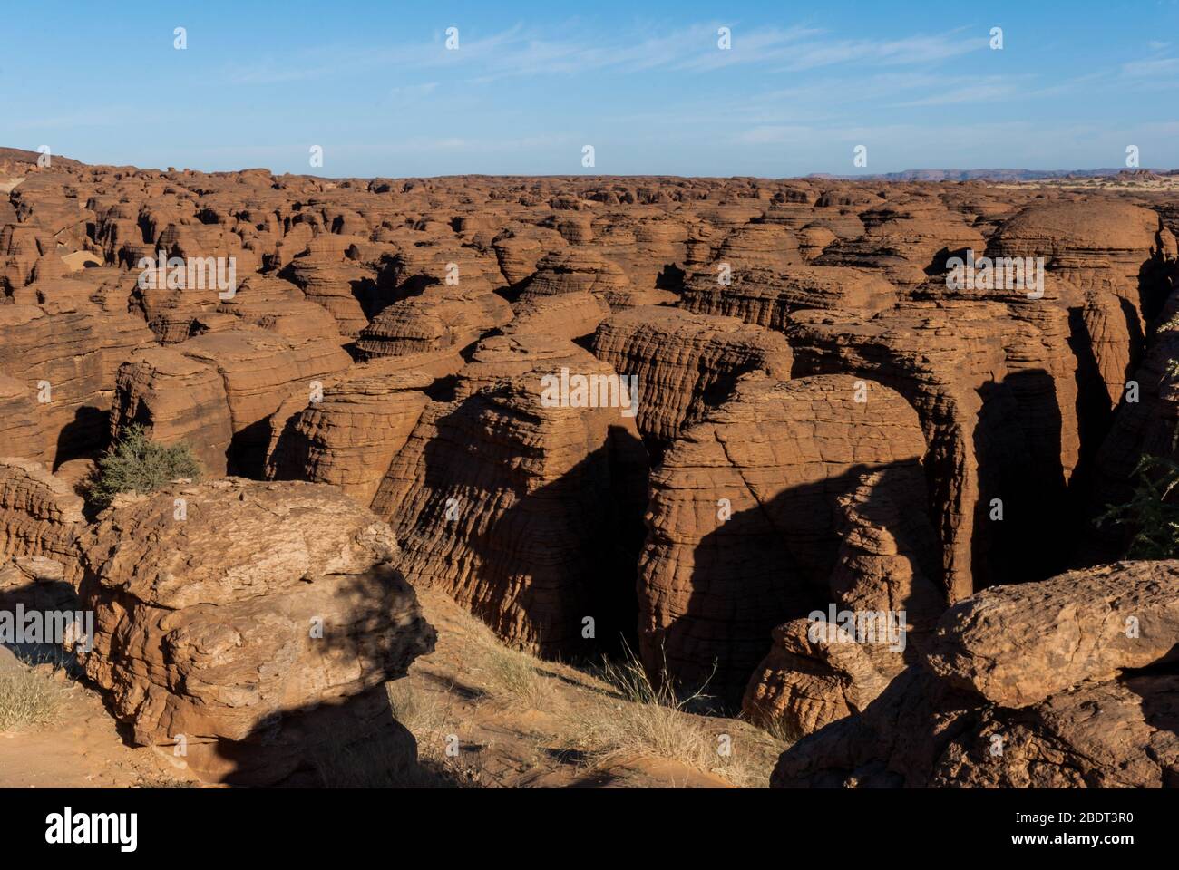 Labyrithe di formazione di roccia chiamato d'Oyo in altopiano di Ennedi sul dessert del Sahara, Ciad, Africa. Foto Stock