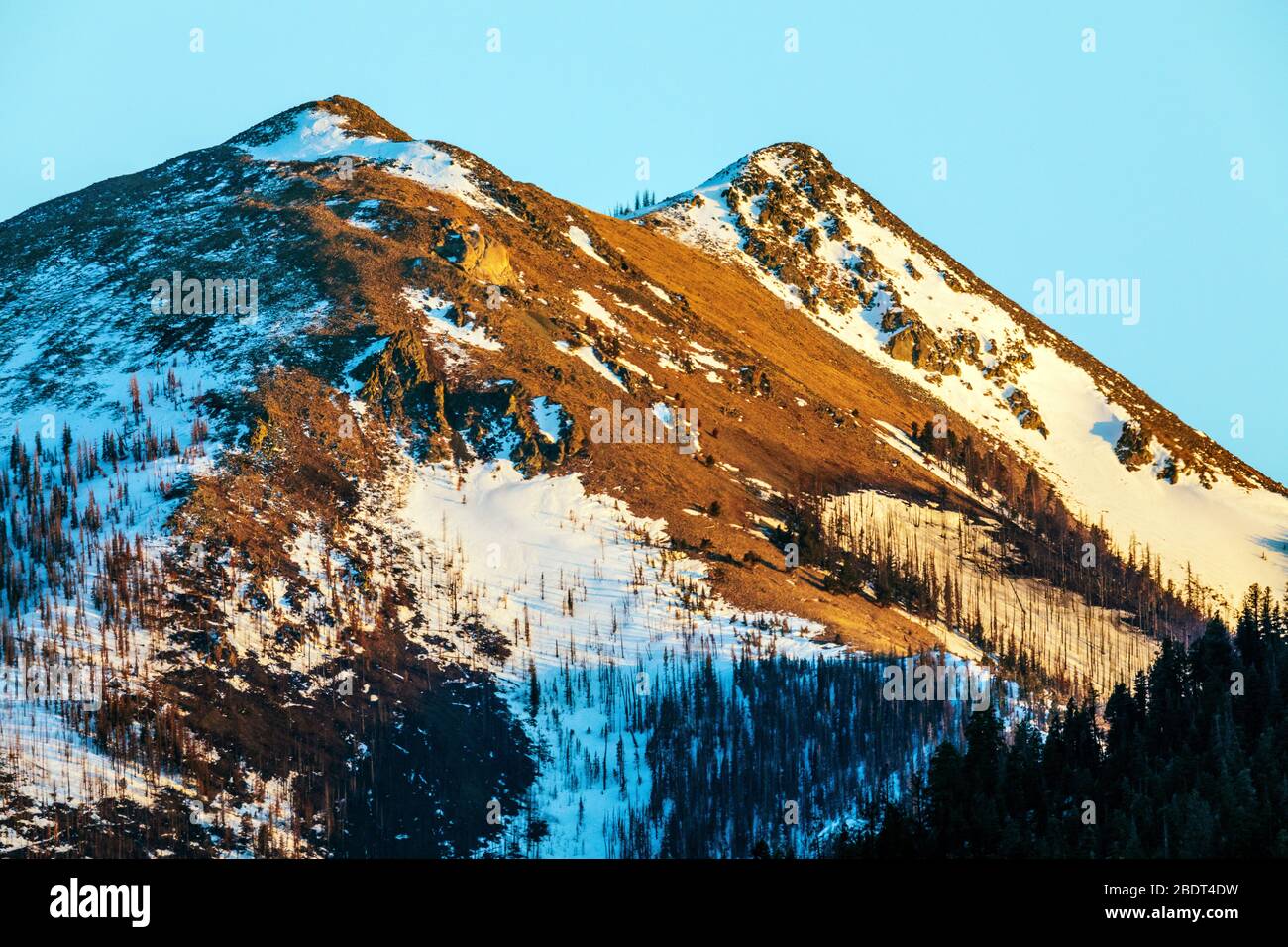 Primavera nevica coperchio montagna metodista (11,707' elevazione) vicino Salida, Colorado, STATI UNITI D'AMERICA Foto Stock